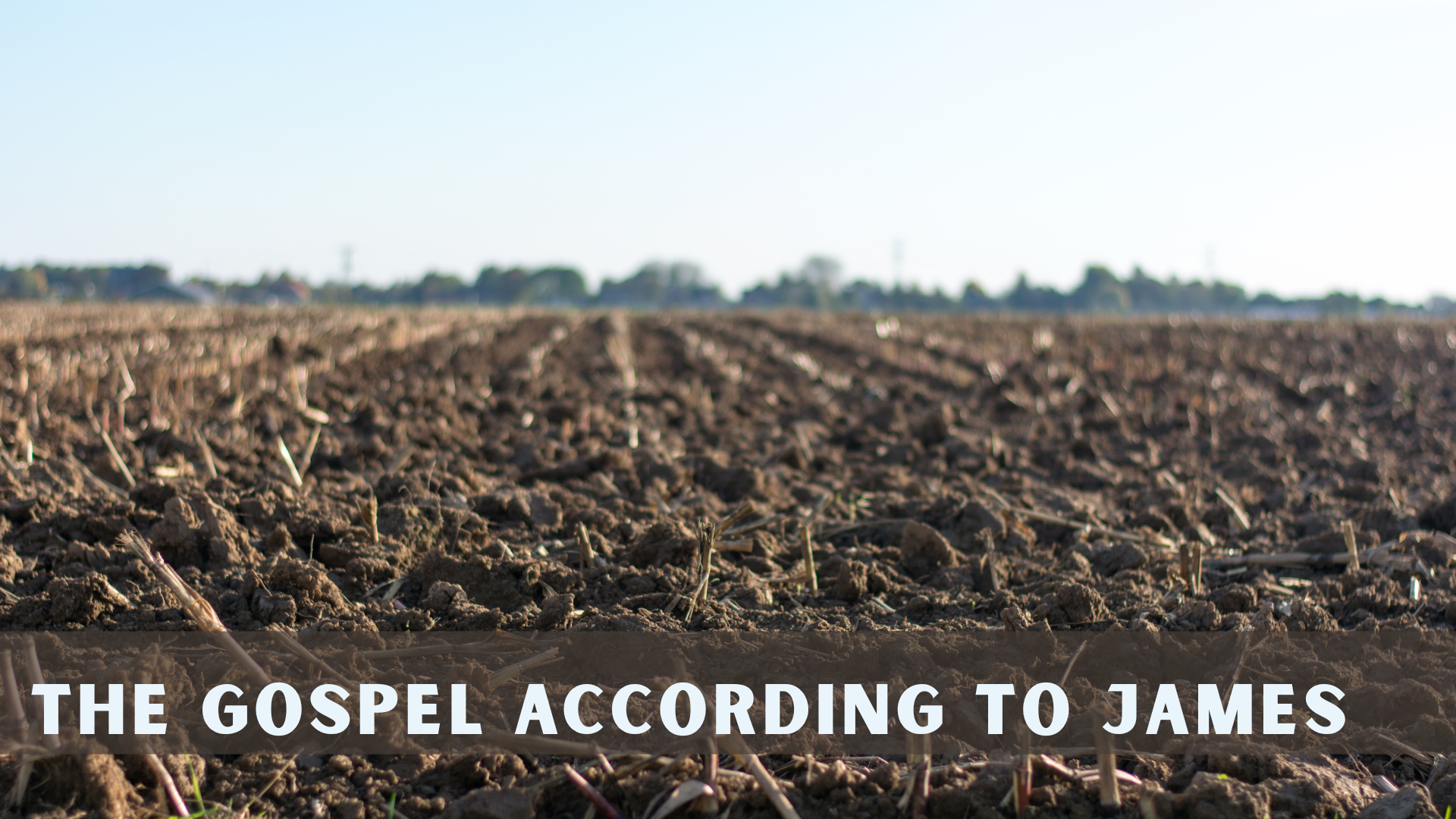 Wisdom for the Scattered