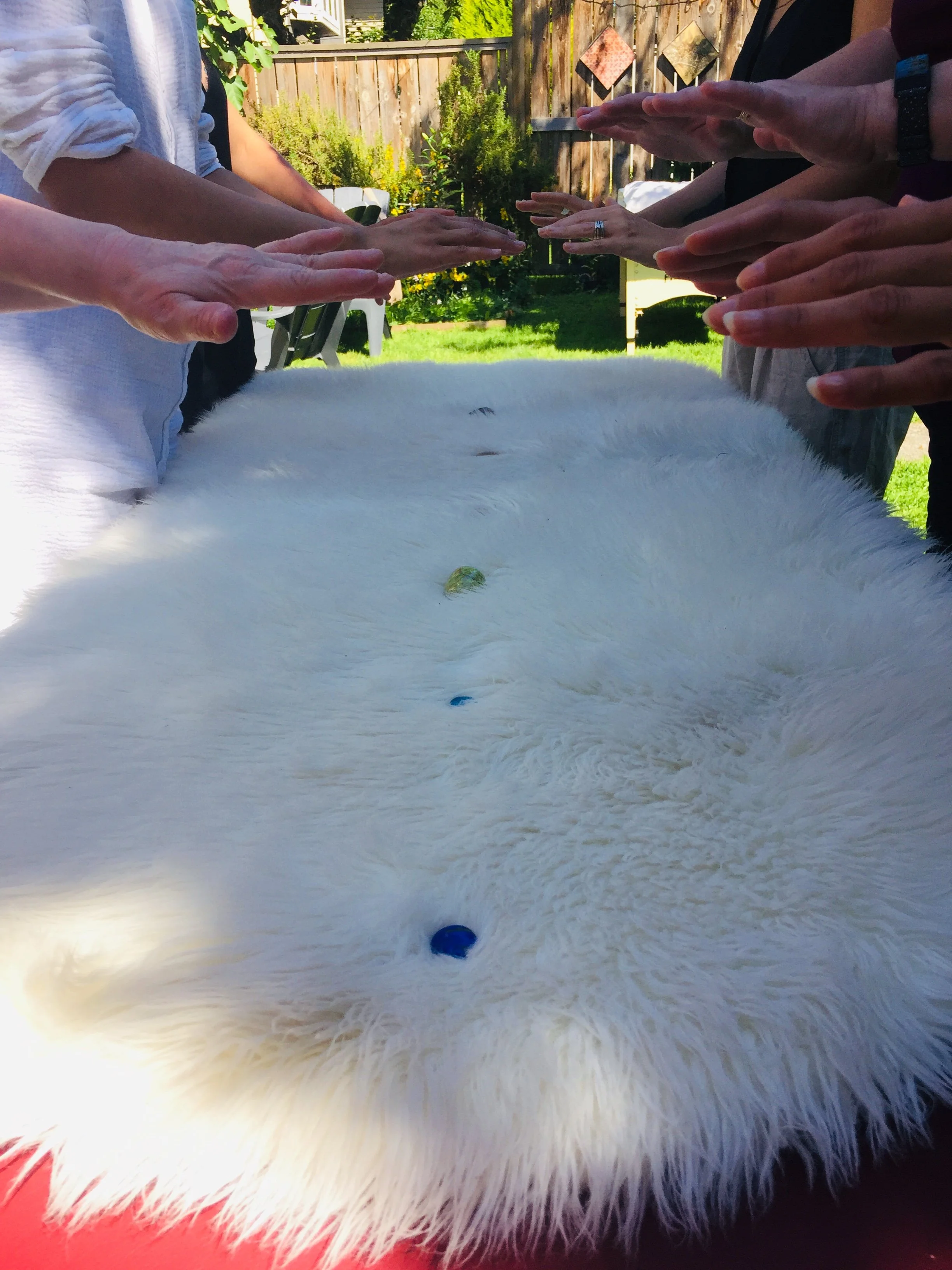Group of people with hands extended over a white fluffy surface with scattered colored marbles, outdoors in a backyard.