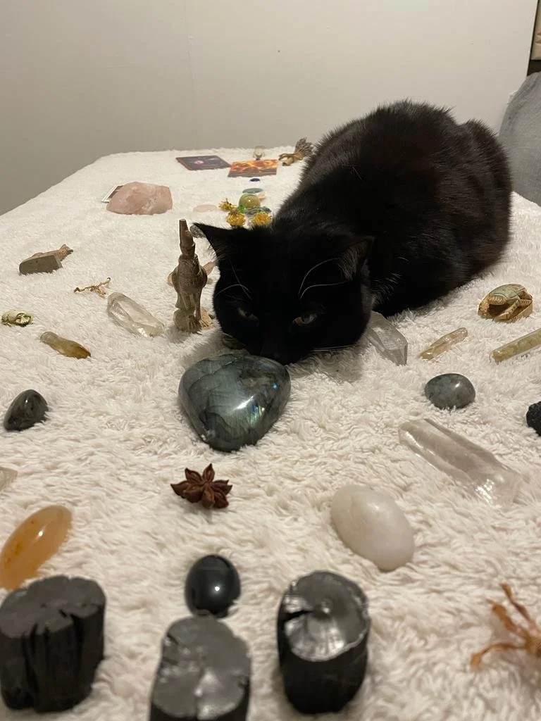 Black cat lying on a white plush surface surrounded by various crystals and stones.