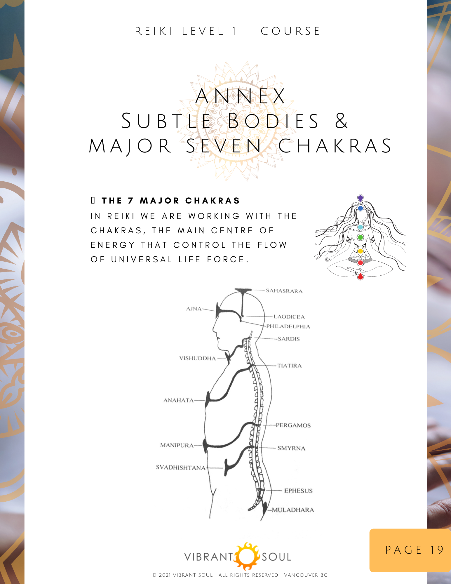 A flyer for a Reiki Level 1 course titled 'Annex Subtle Bodies & Major Seven Chakras.' It features a diagram of the seven chakras aligned along a person's silhouette, with names of various energy centers and part of the spine highlighted. The flyer i