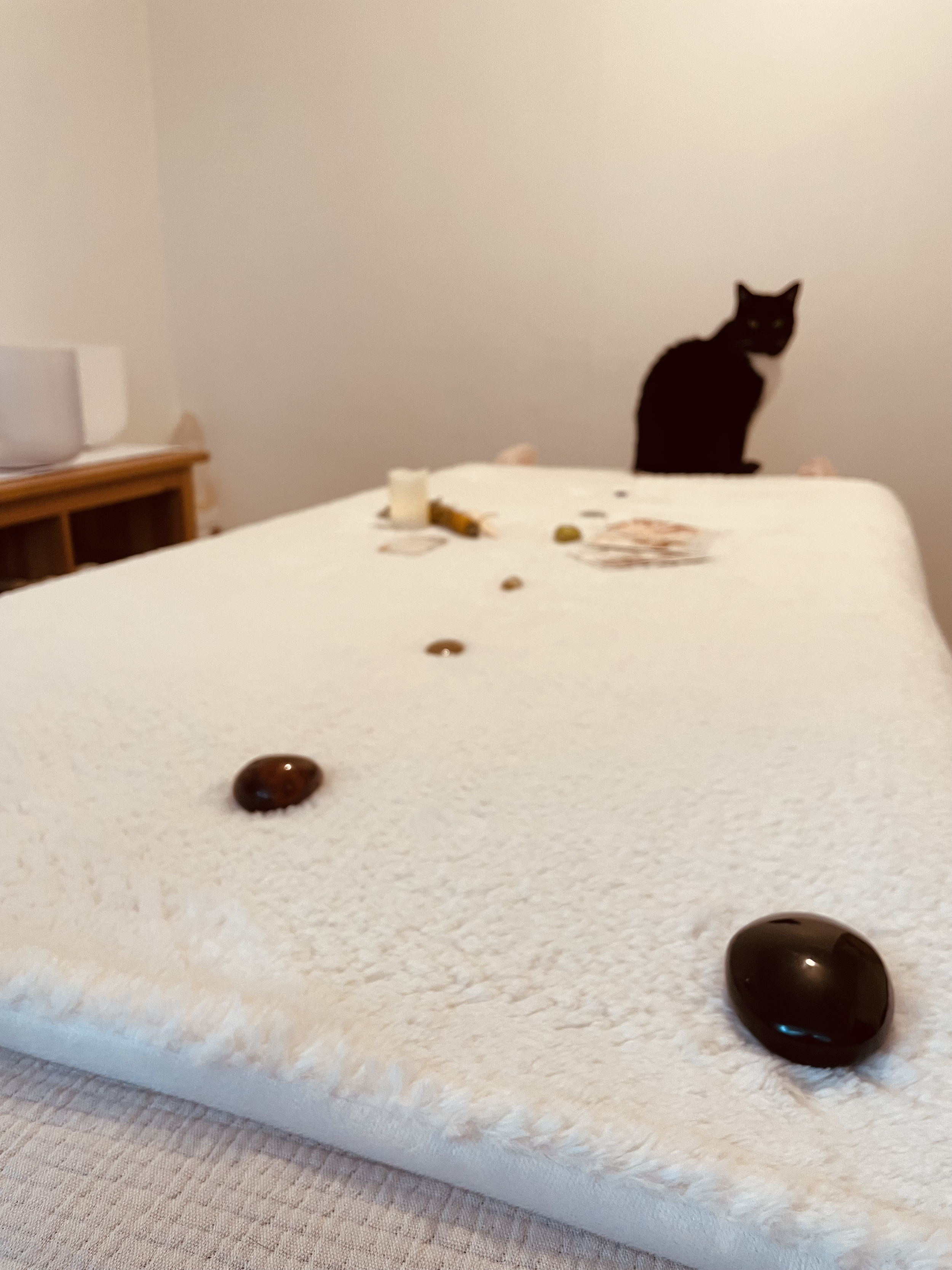 A black and white cat sitting on a bed with scattered stones and objects, looking towards the camera.