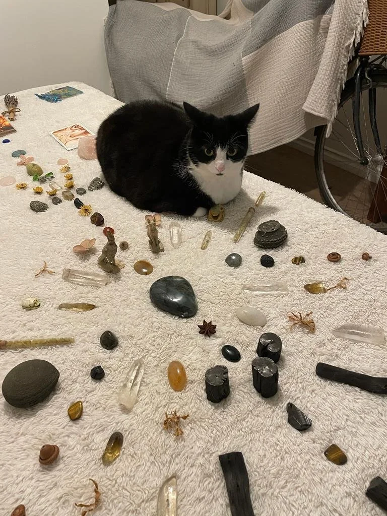 Black and white cat sitting on a white towel-covered surface among various crystals, stones, and small decorative objects.