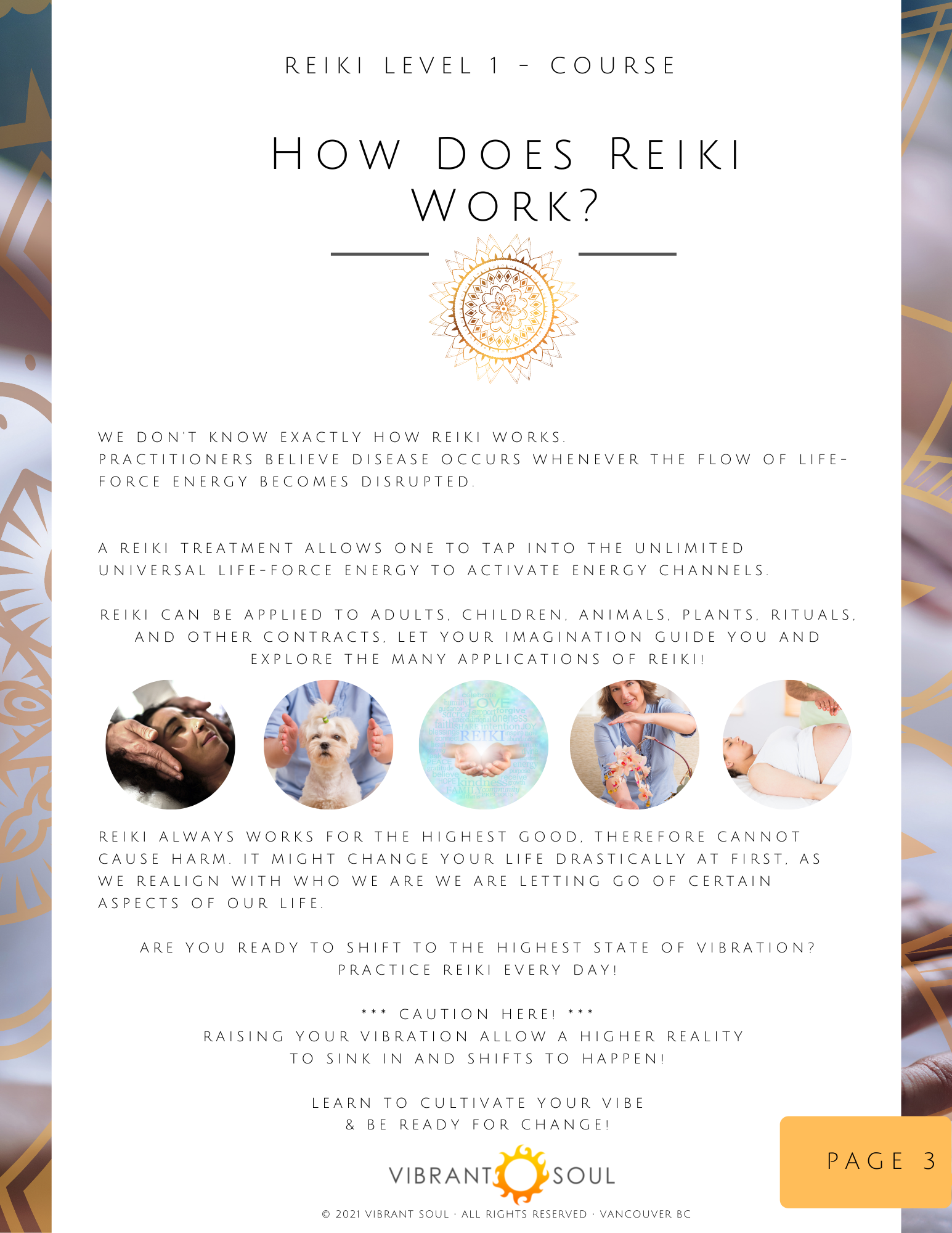 A flyer for a Reiki Level 1 course titled 'How Does Reiki Work?' with introductory text, images of a woman receiving treatment, a dog, a palm, and a person practicing Reiki, and a Vibrant Soul logo at the bottom.