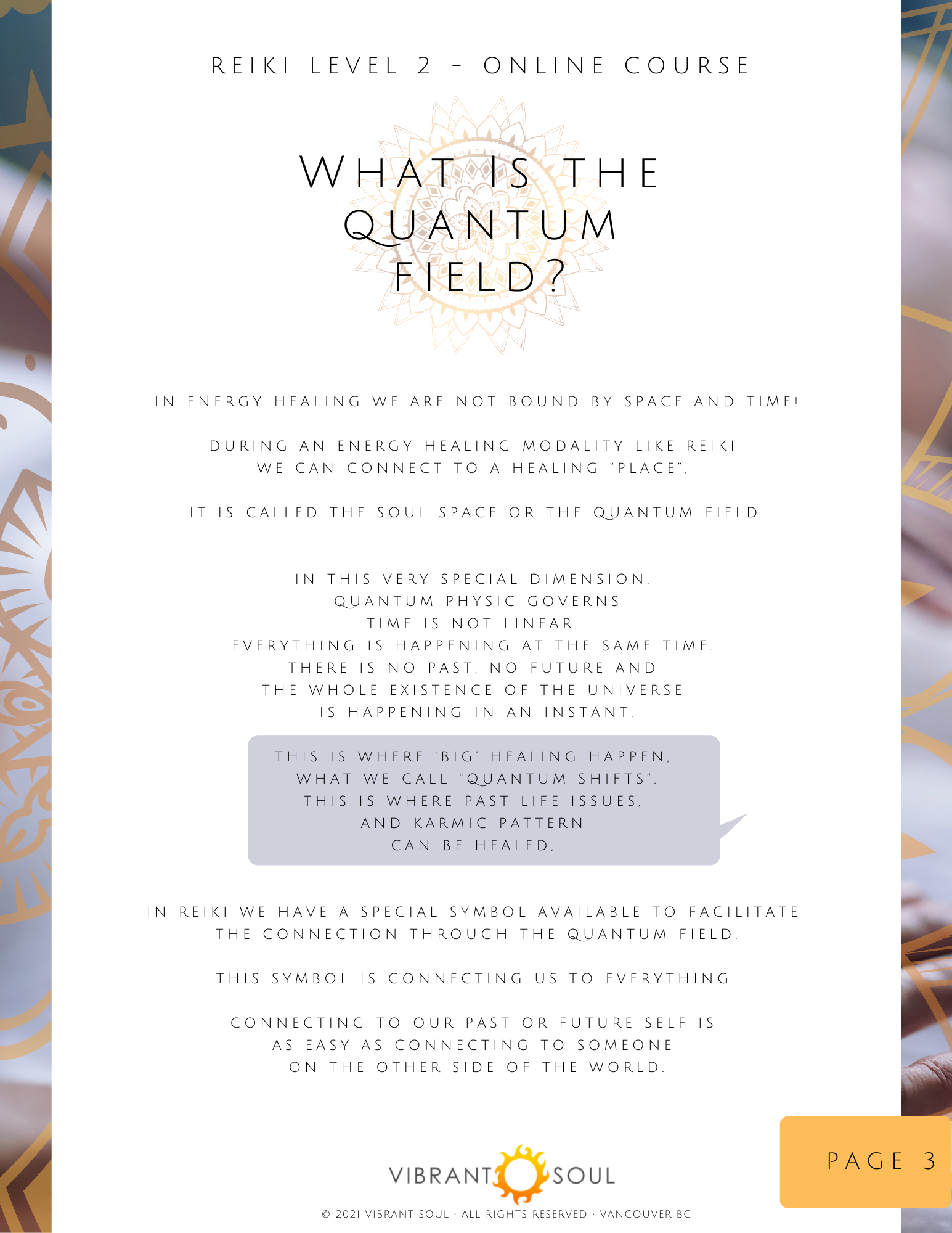 Information page about Reiki Level 2 online course explaining the concept of the quantum field and healing through quantum shifts, with a logo at the bottom reading Vibrant Soul.