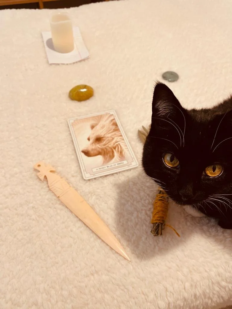 A black cat with yellow eyes lying on a beige carpet, surrounded by tarot cards, a candle, a small stone, and a wooden sword-shaped object.