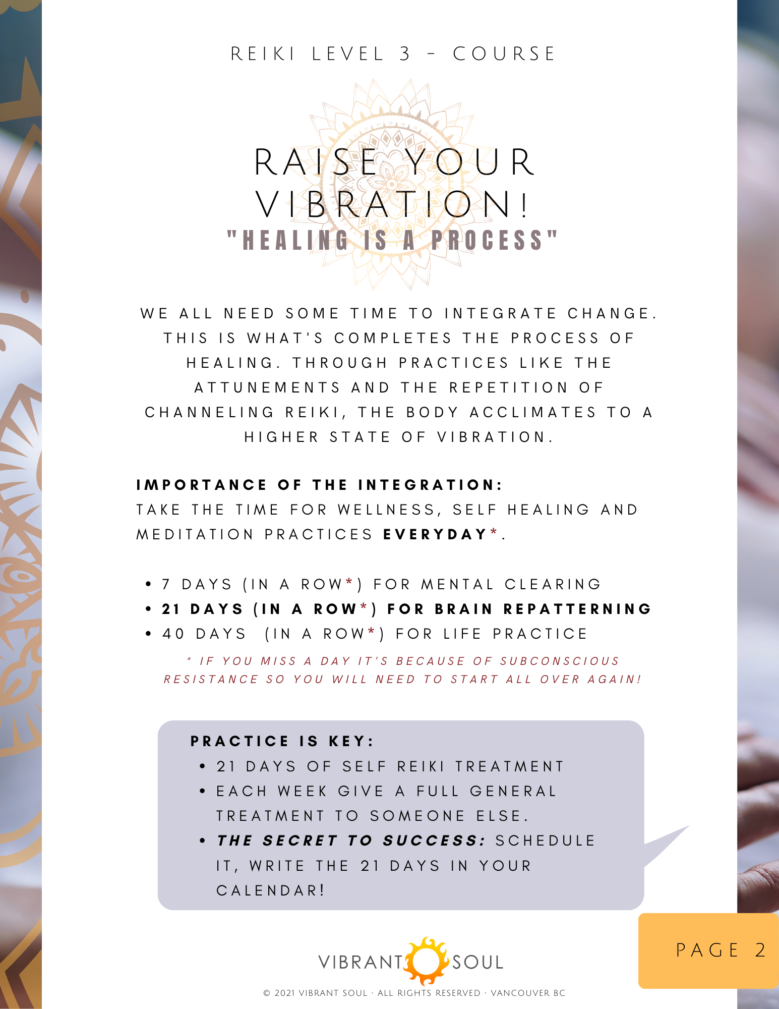 Promotional flyer for Reiki Level 3 course titled 'Raise Your Vibration' emphasizing healing as a process. Includes tips on daily practices, schedule, and importance of consistency.
