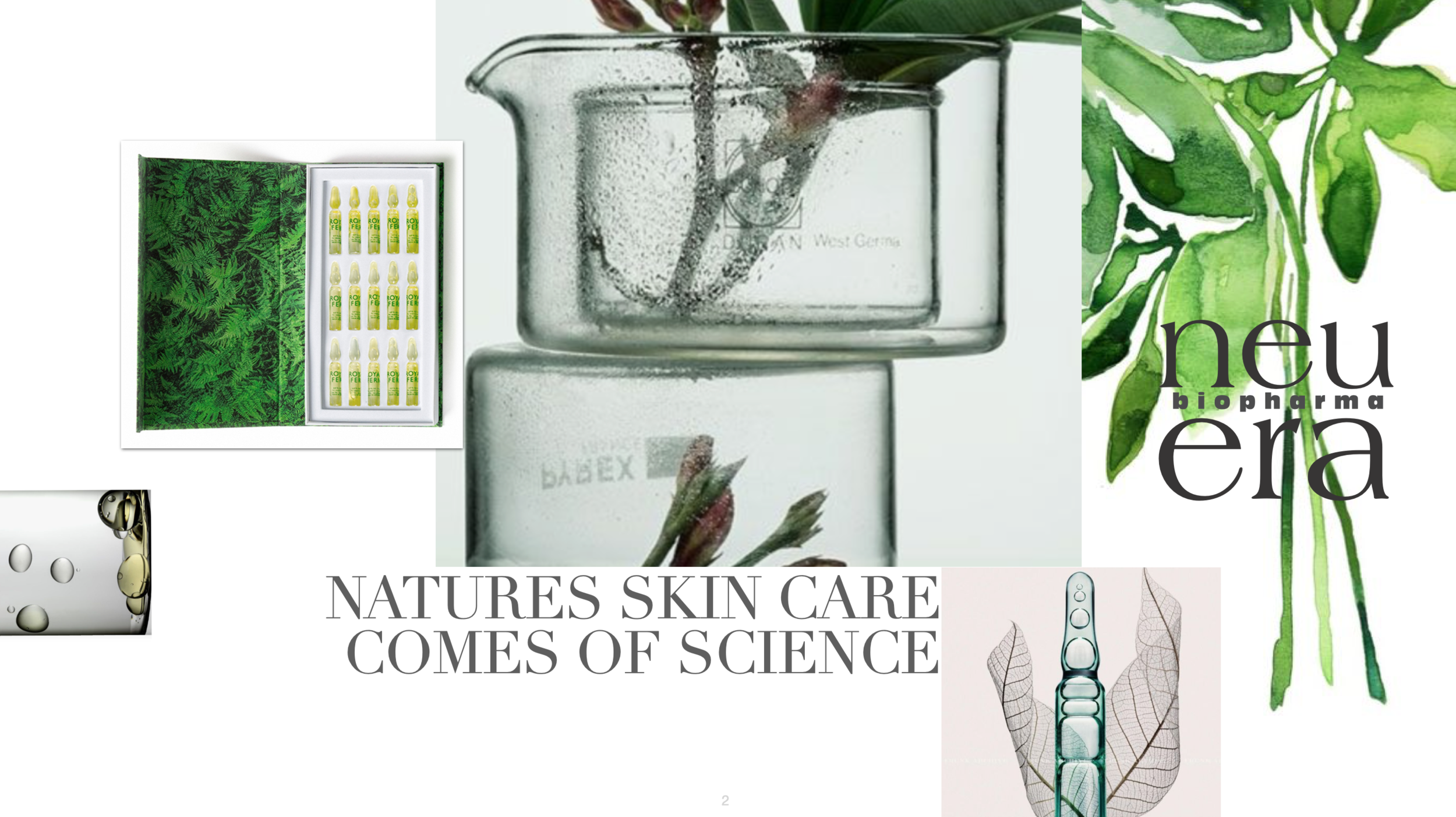 Scrgrenn skin 21.png