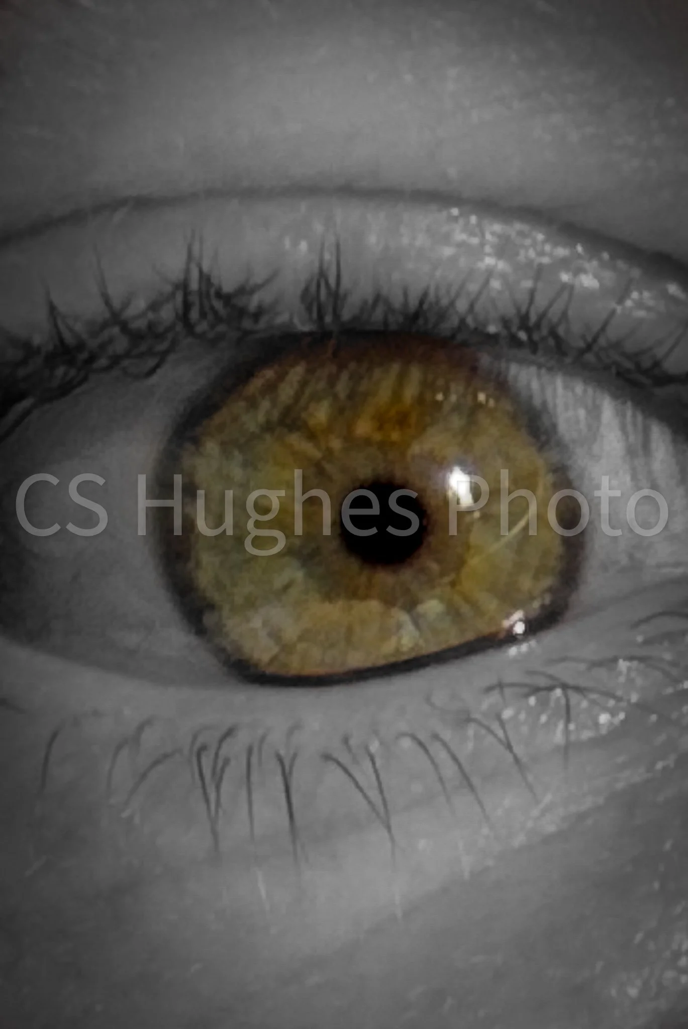 Green eye WM.jpg