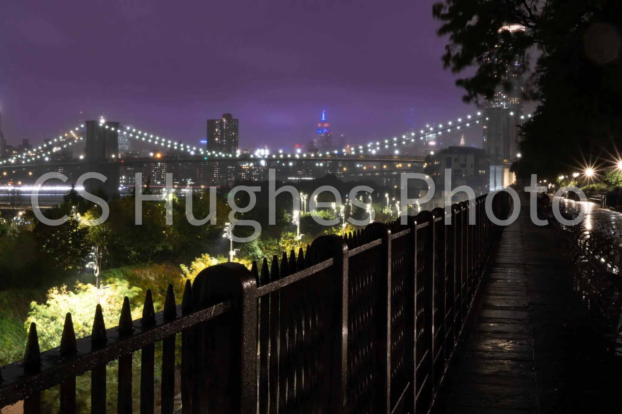 Purple promenade WM.jpg