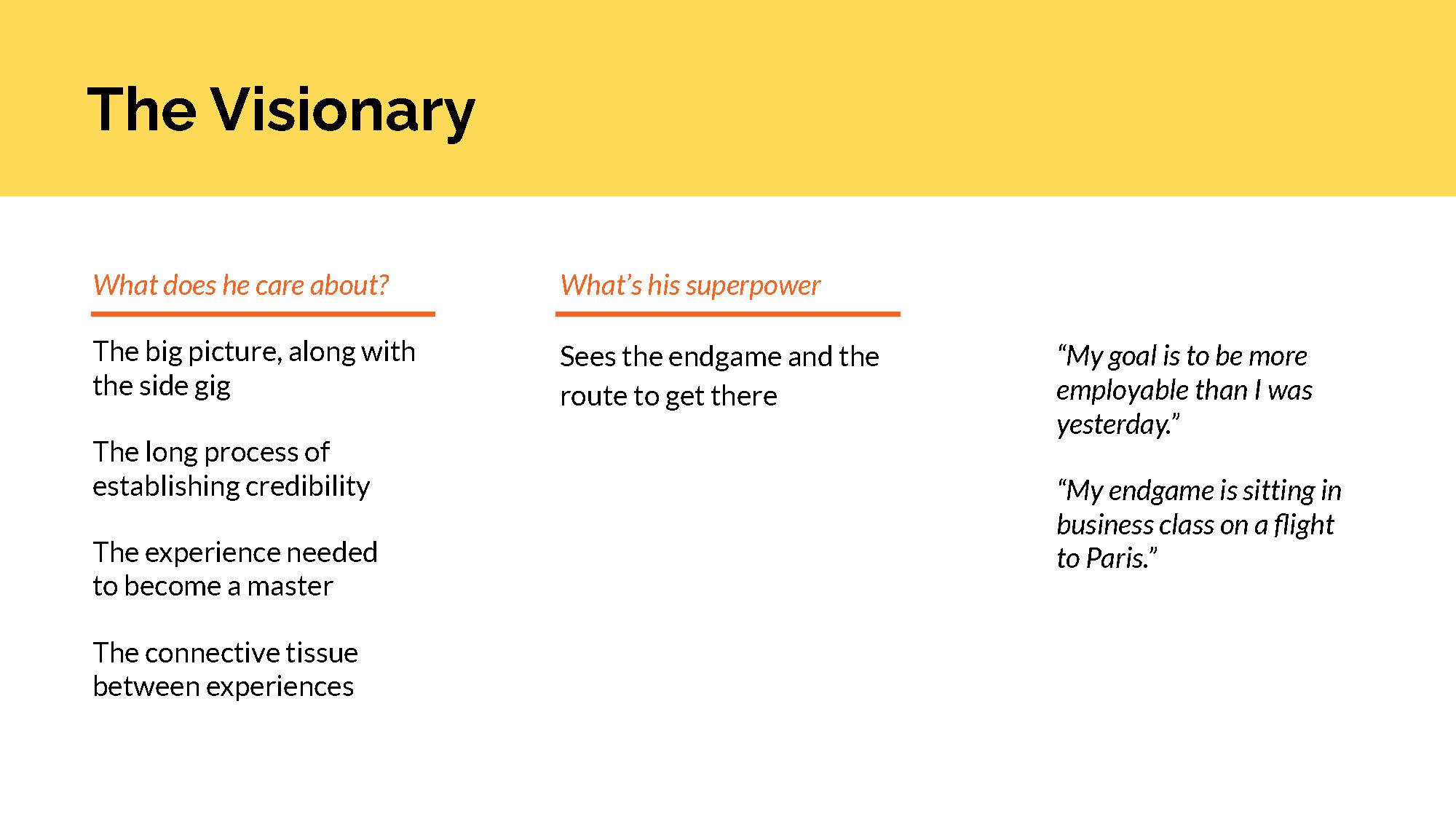 Overview of The Visionary Persona