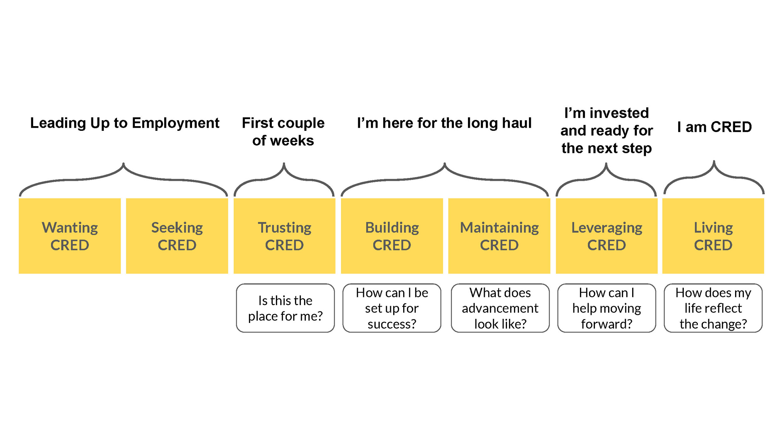 Overview of the CRED participant journey