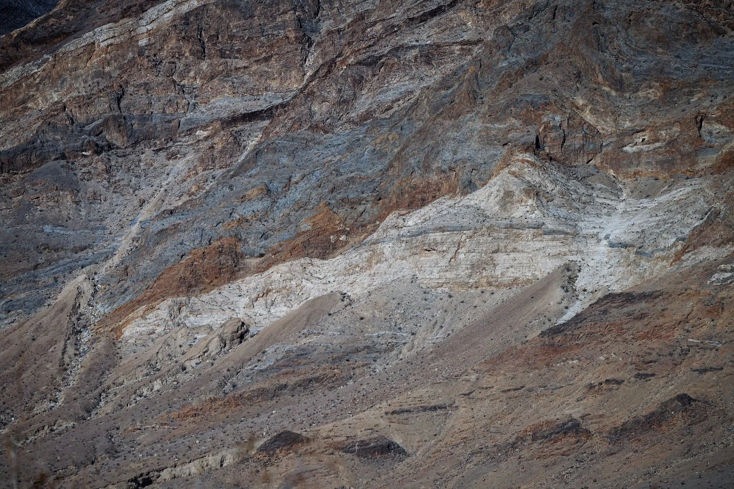 DSC06333 (2)1000.jpg