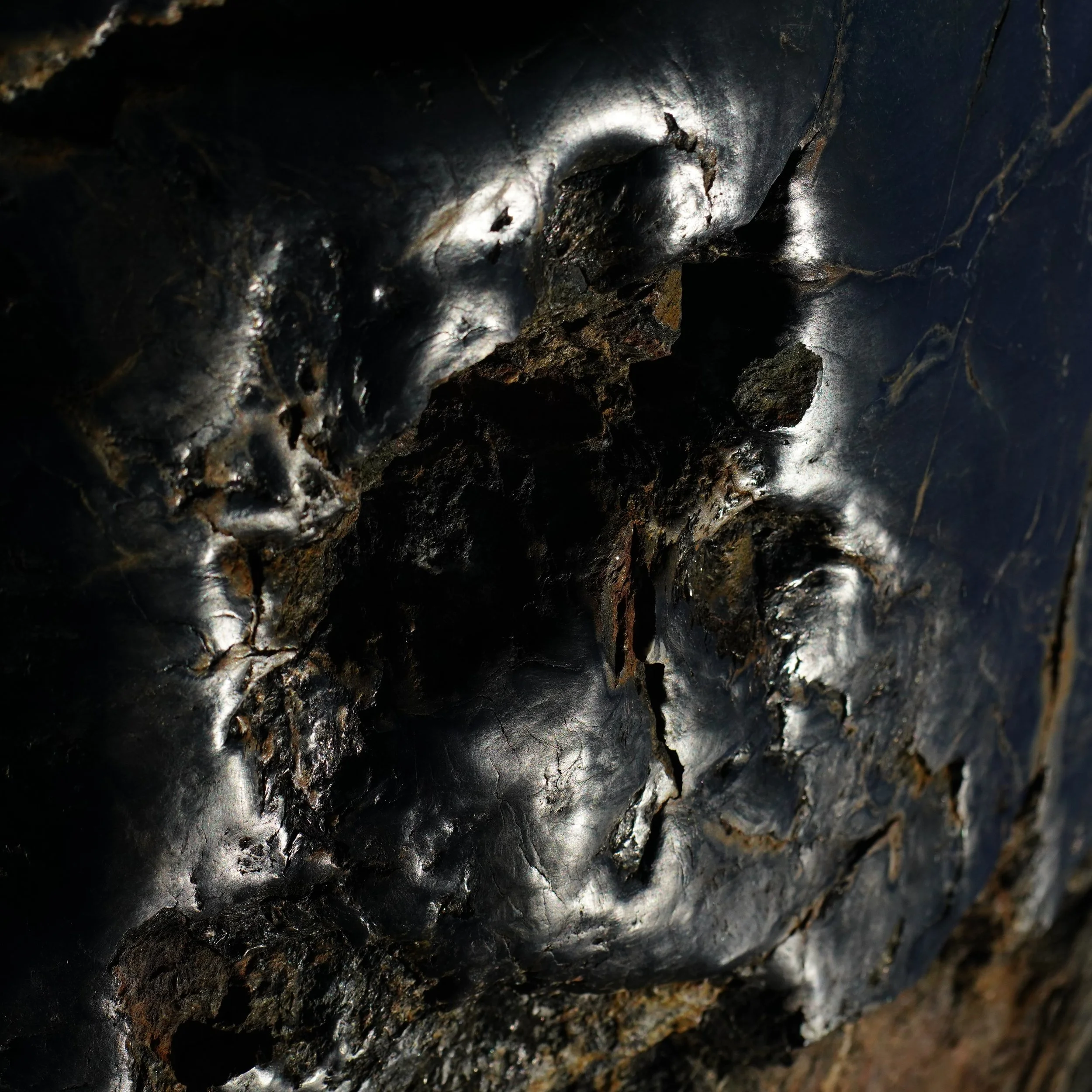 DSC04903d - Copy.JPG