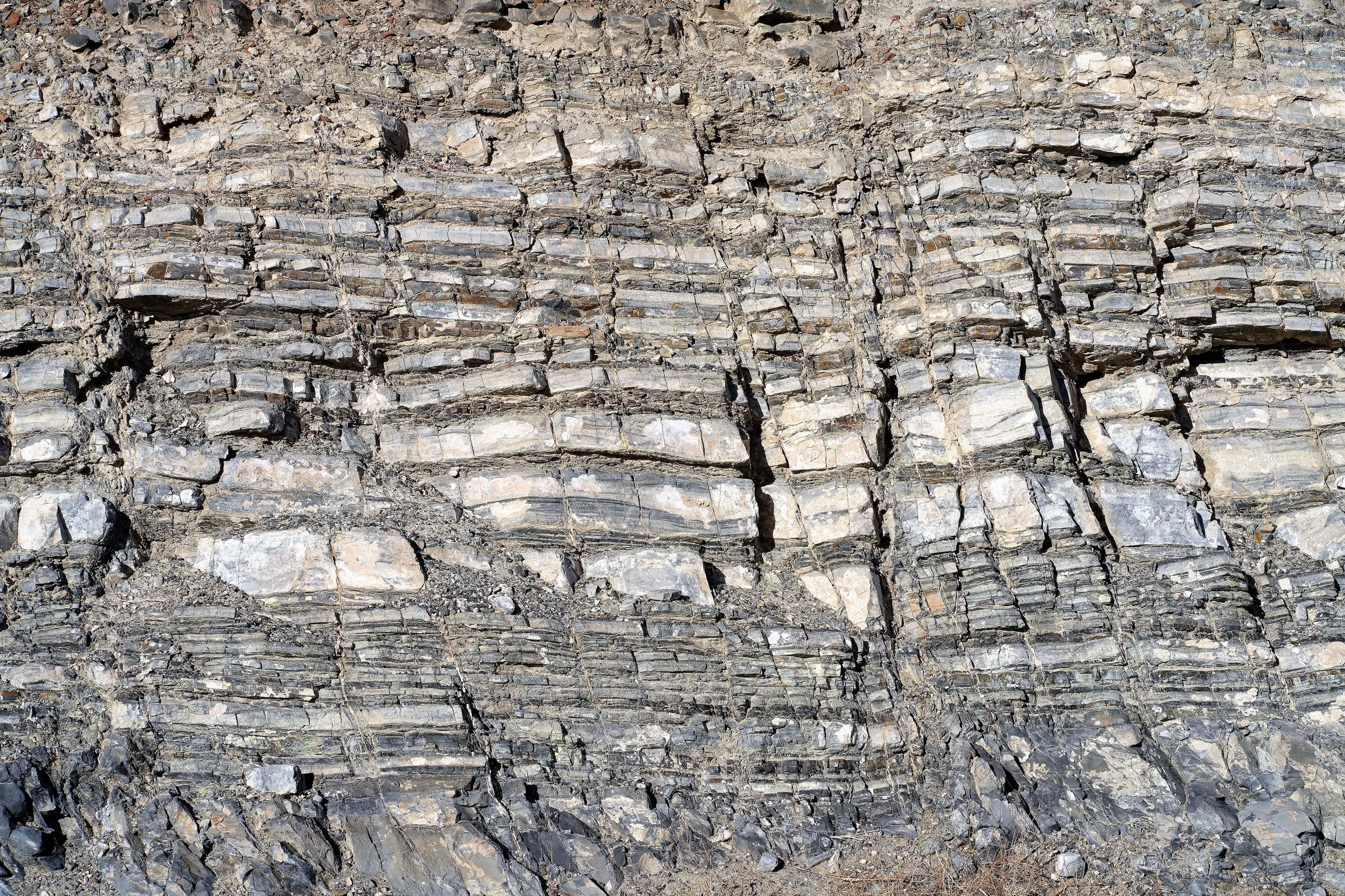 DSC07263 (3) - Copy2000.jpg