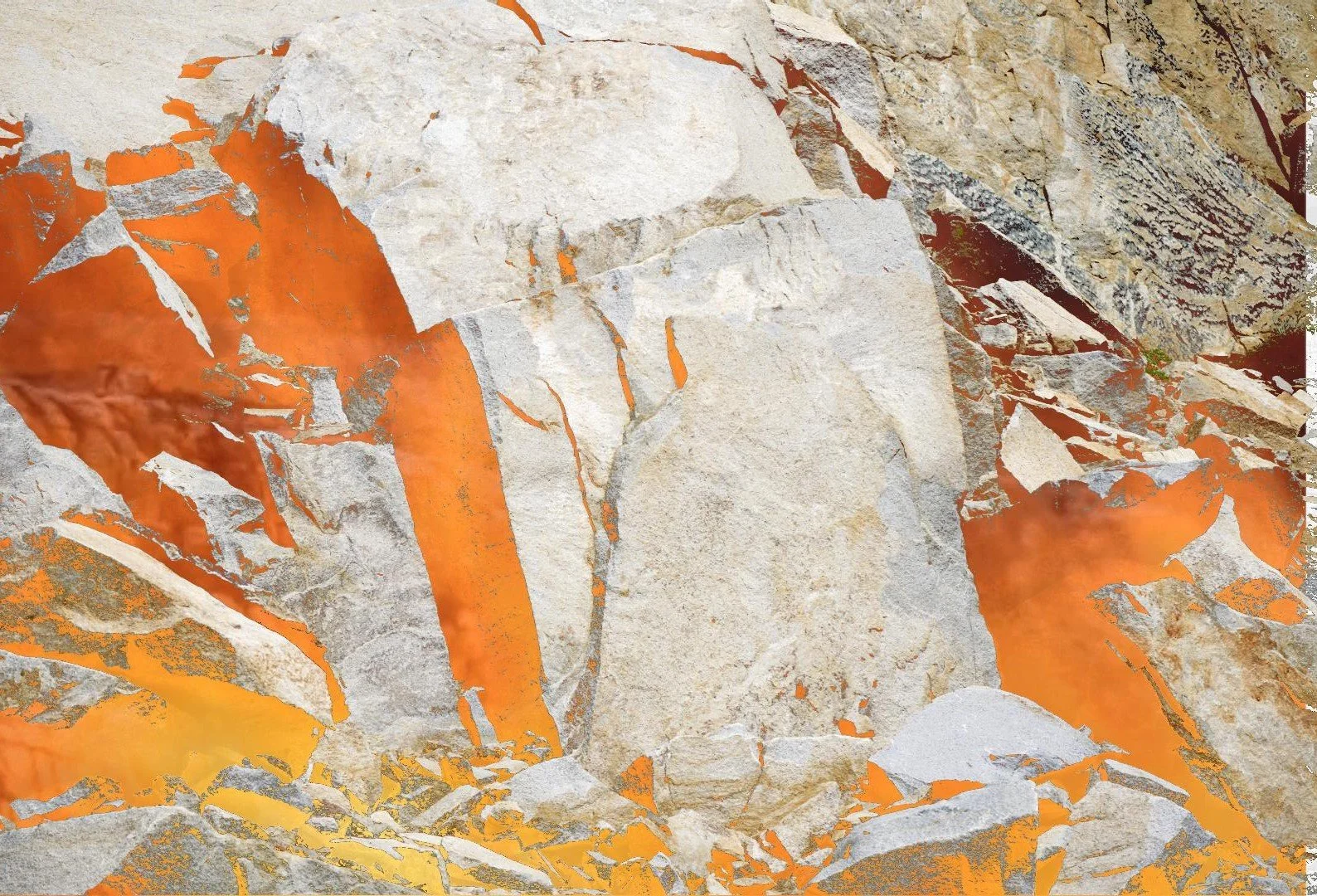 X TOM RICHARD (4).jpg