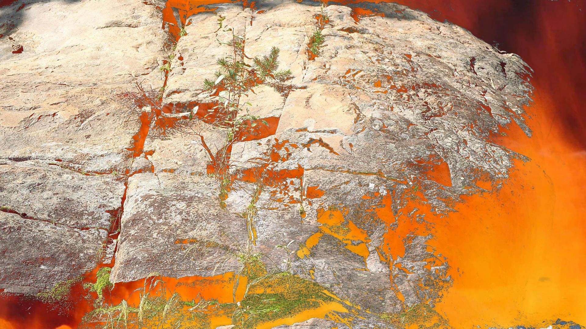 LIGHT IT IS - tom richard 1920.jpg