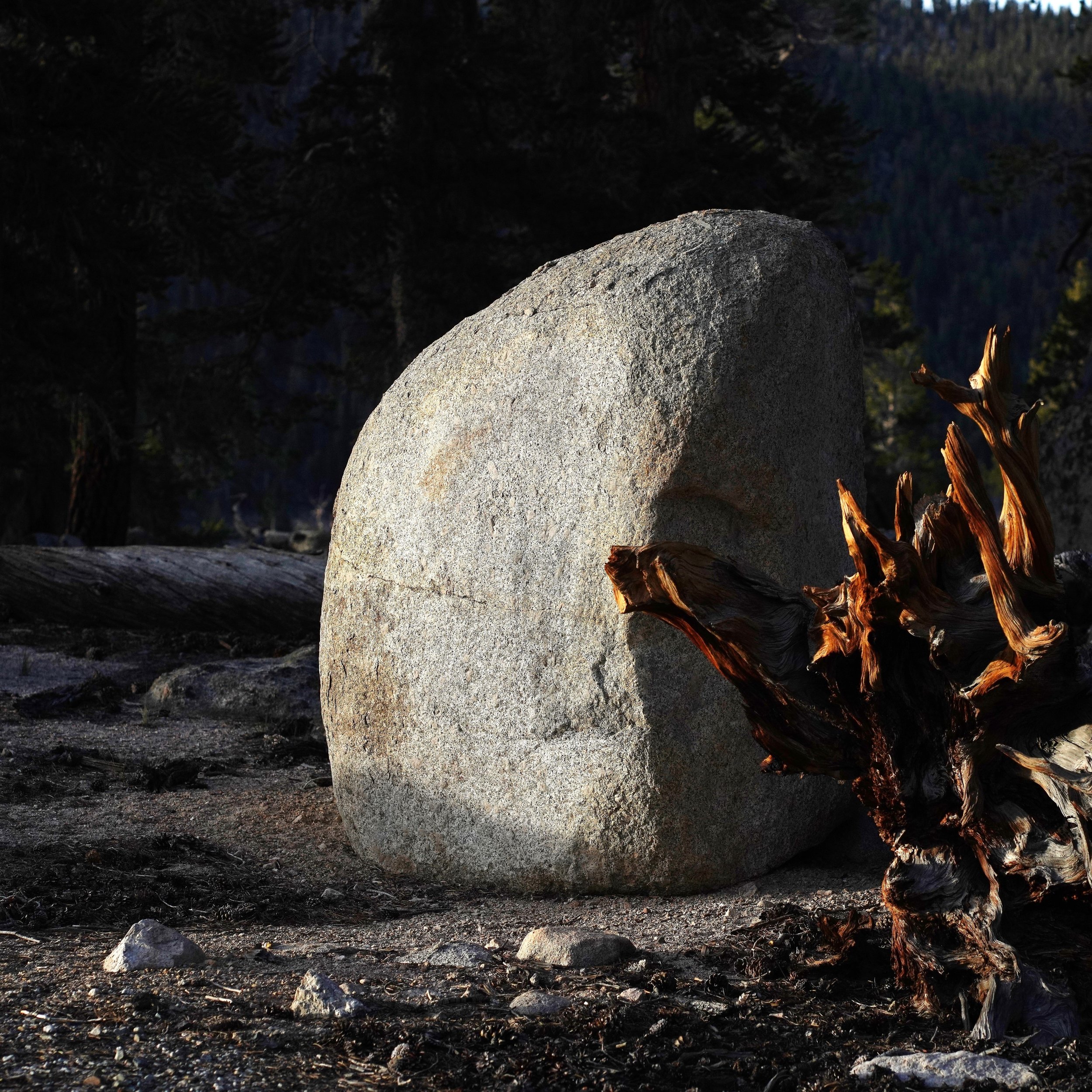 DSC06746 (2)FEEc.JPG