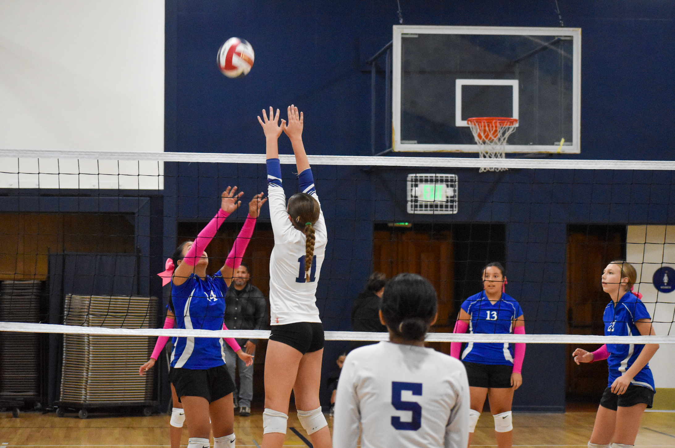 Volleyball.png