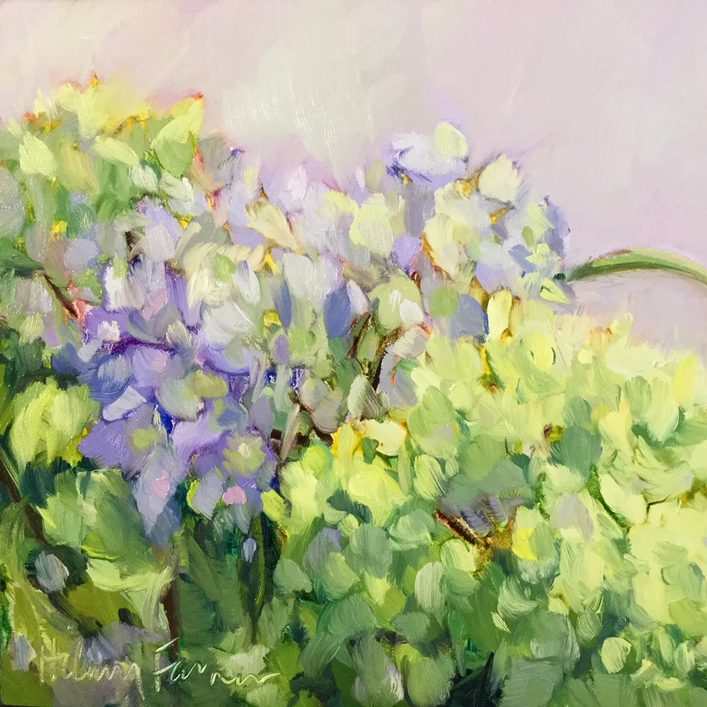 HILARY_FARMER_2018_Oil-Painting-Square_HYDRANGEAS.JPG