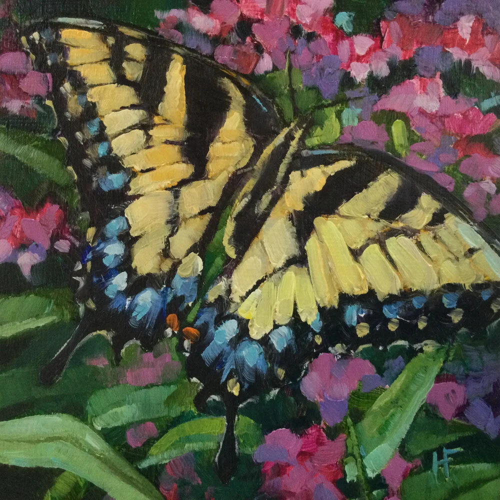 HILARY_FARMER_Oil-Painting-Square_2021_SWALLOWTAIL_BASKING.JPG