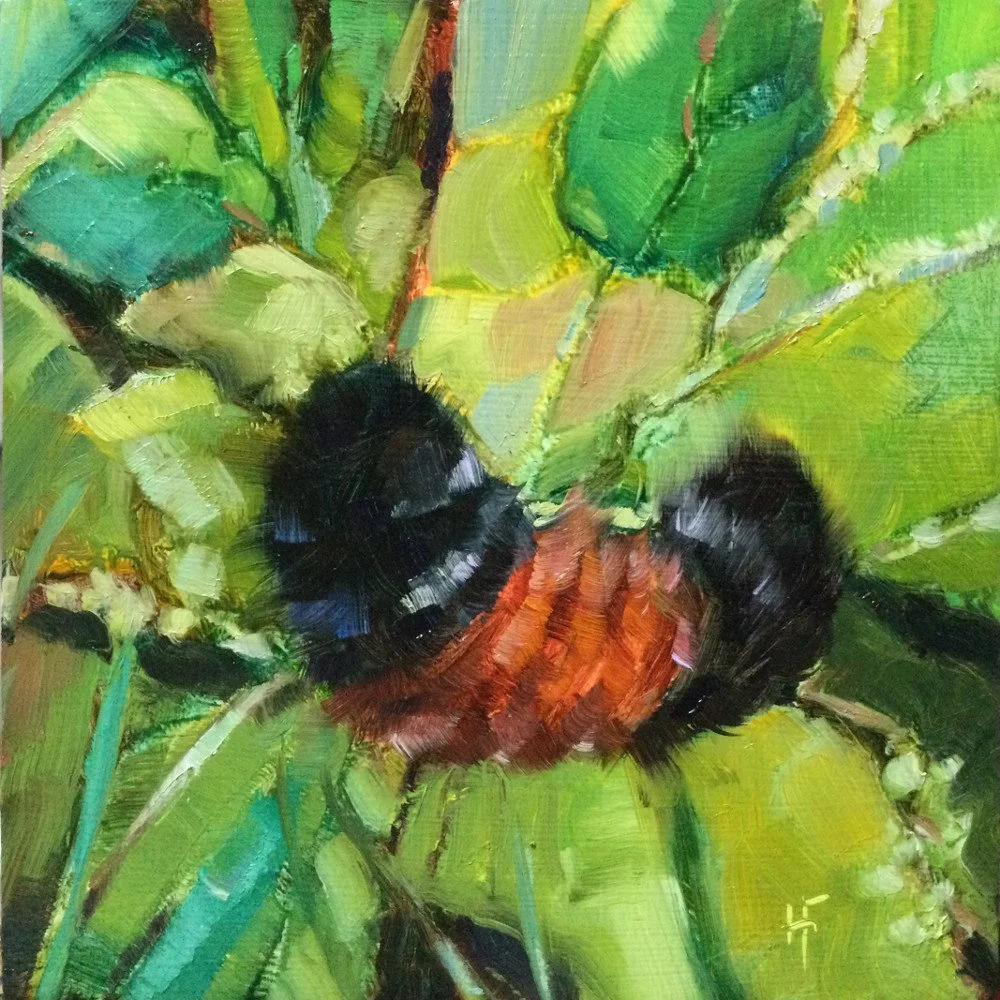 HILARY_FARMER_2021_Oil-Painting-Square_WOOLLY_BEAR.JPG