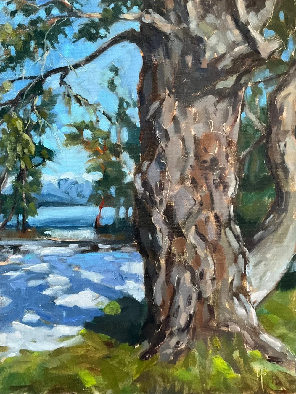 HILARY_FARMER_2025_Oil-Painting-Vertical_TWIN_BEACHES_WINTER_TREE.jpg