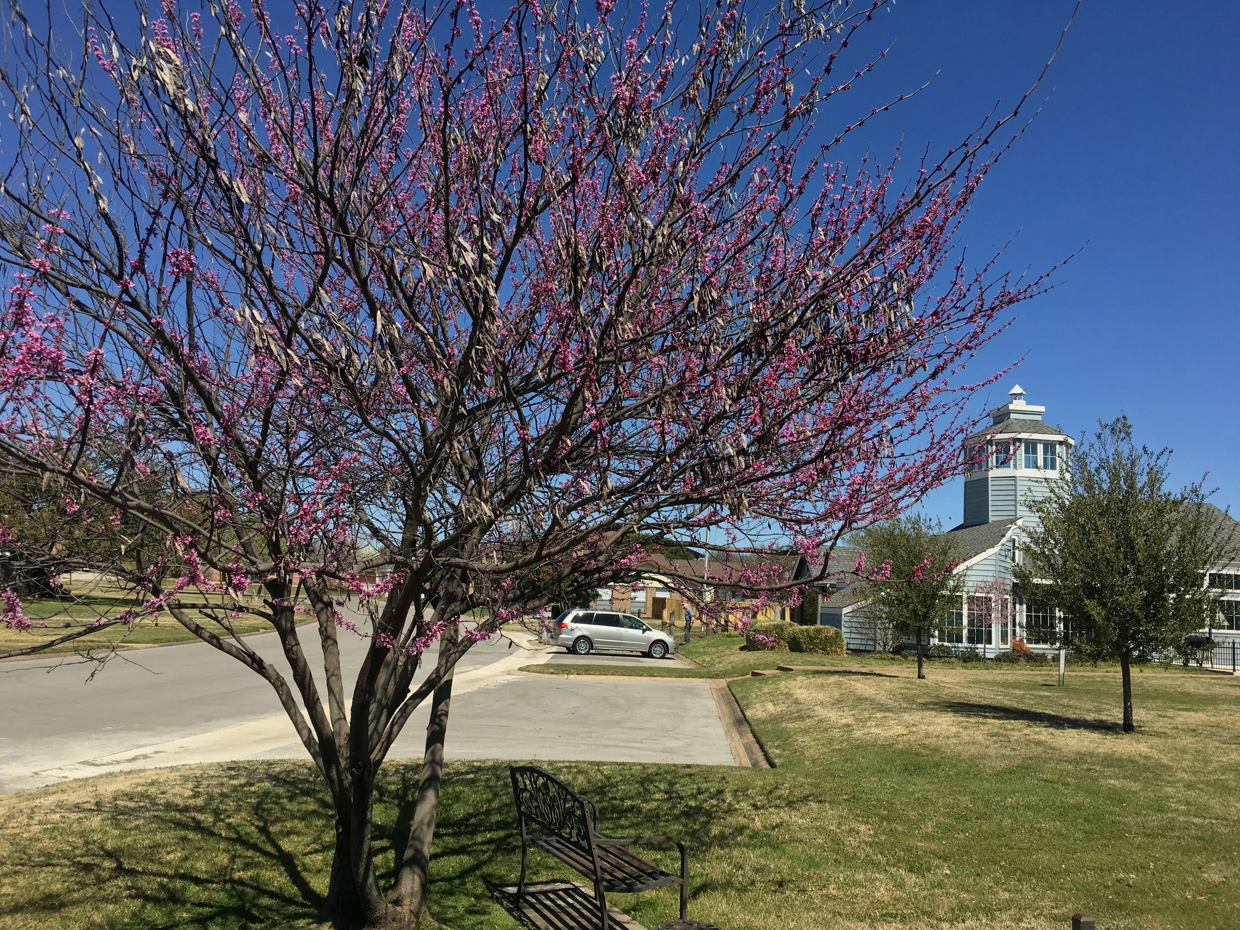 Landing Homeowners Association