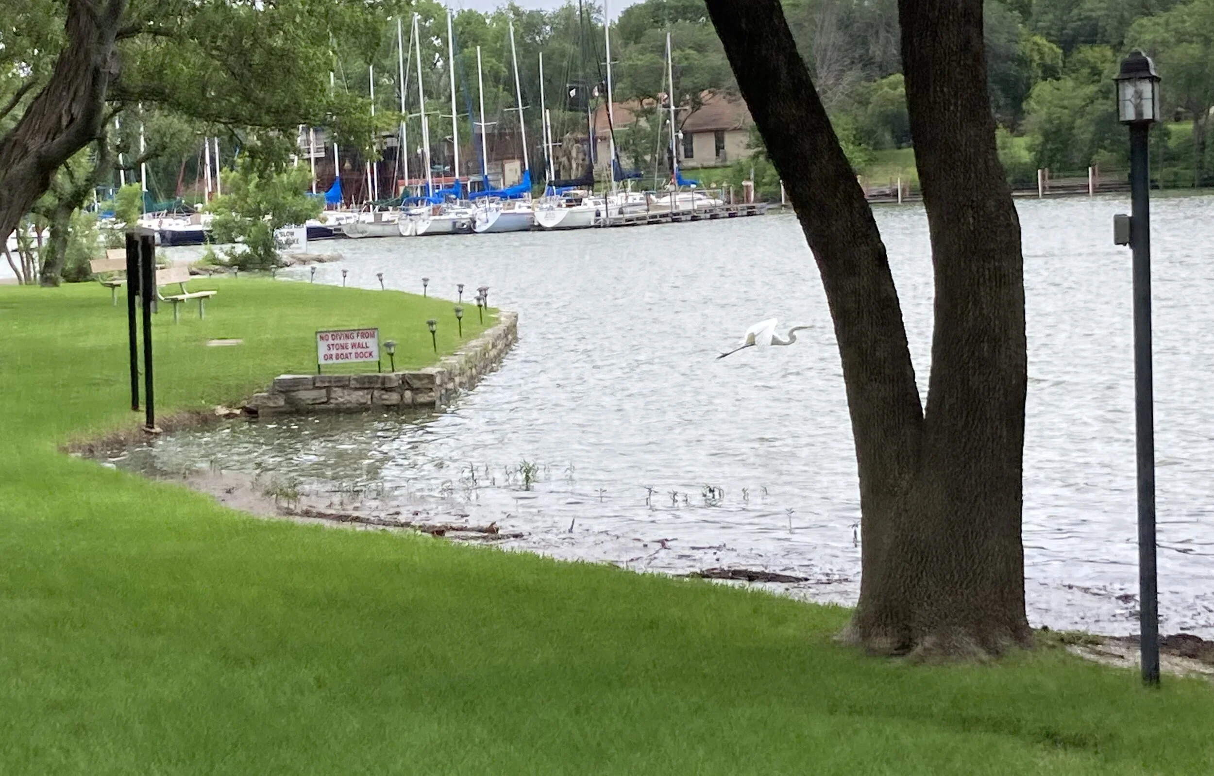 Landing Homeowners Association