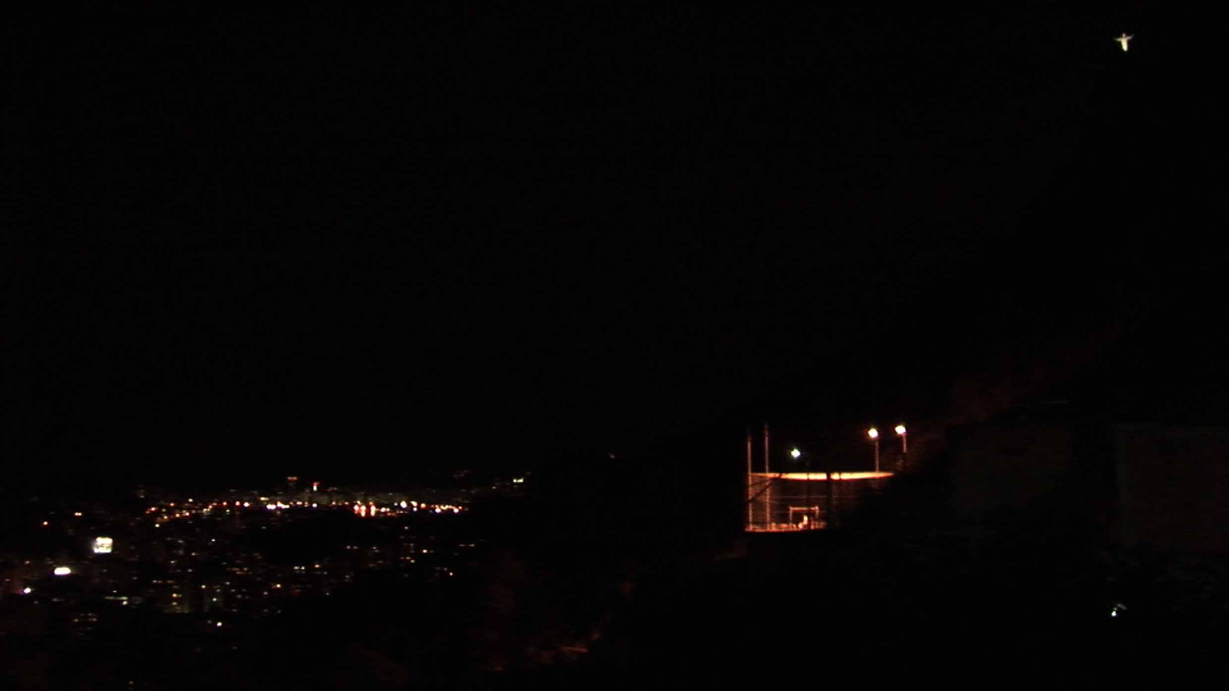 Pelada Noturna B - 21 cm base.jpg
