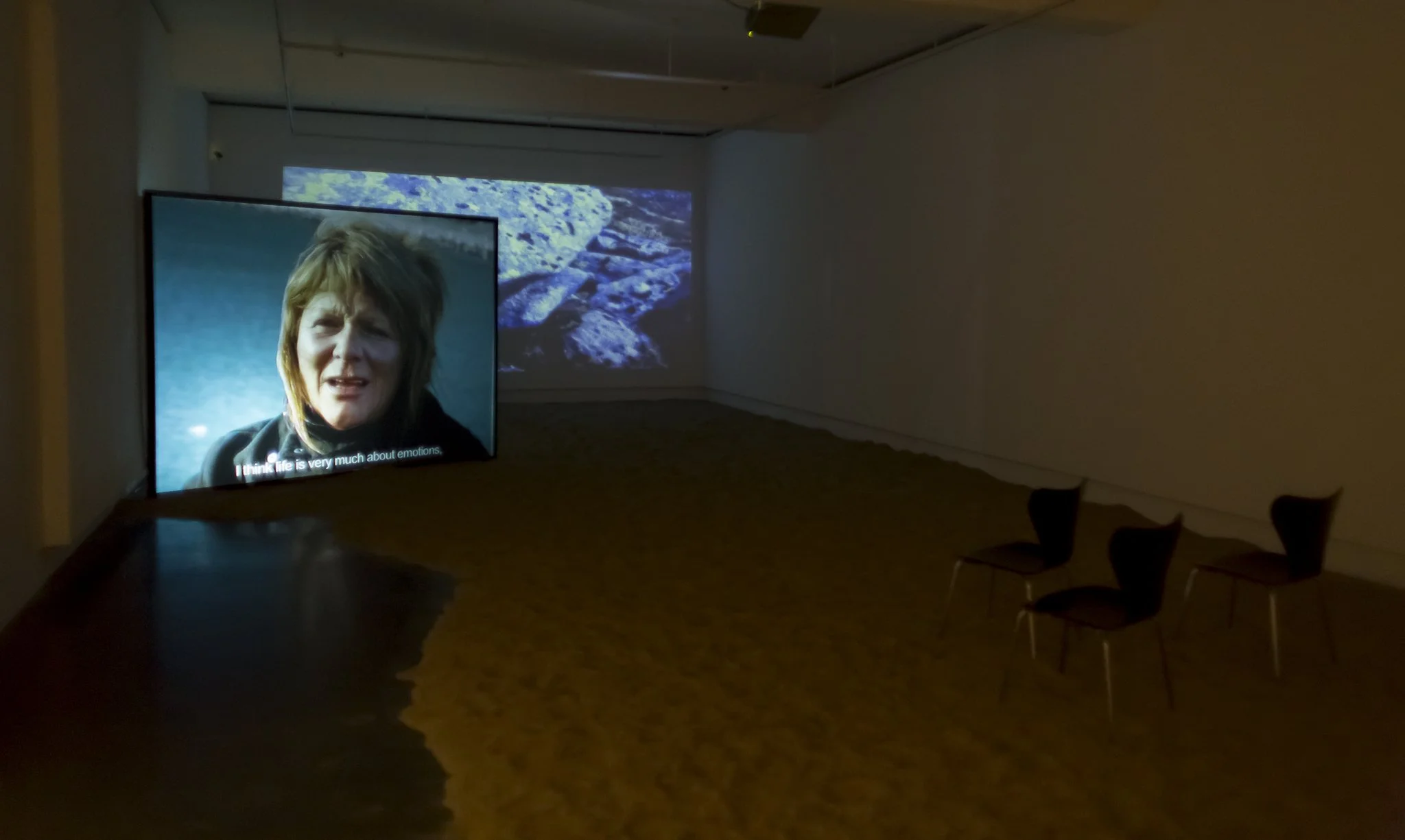 Juksa Inst Krsnd 6.jpeg