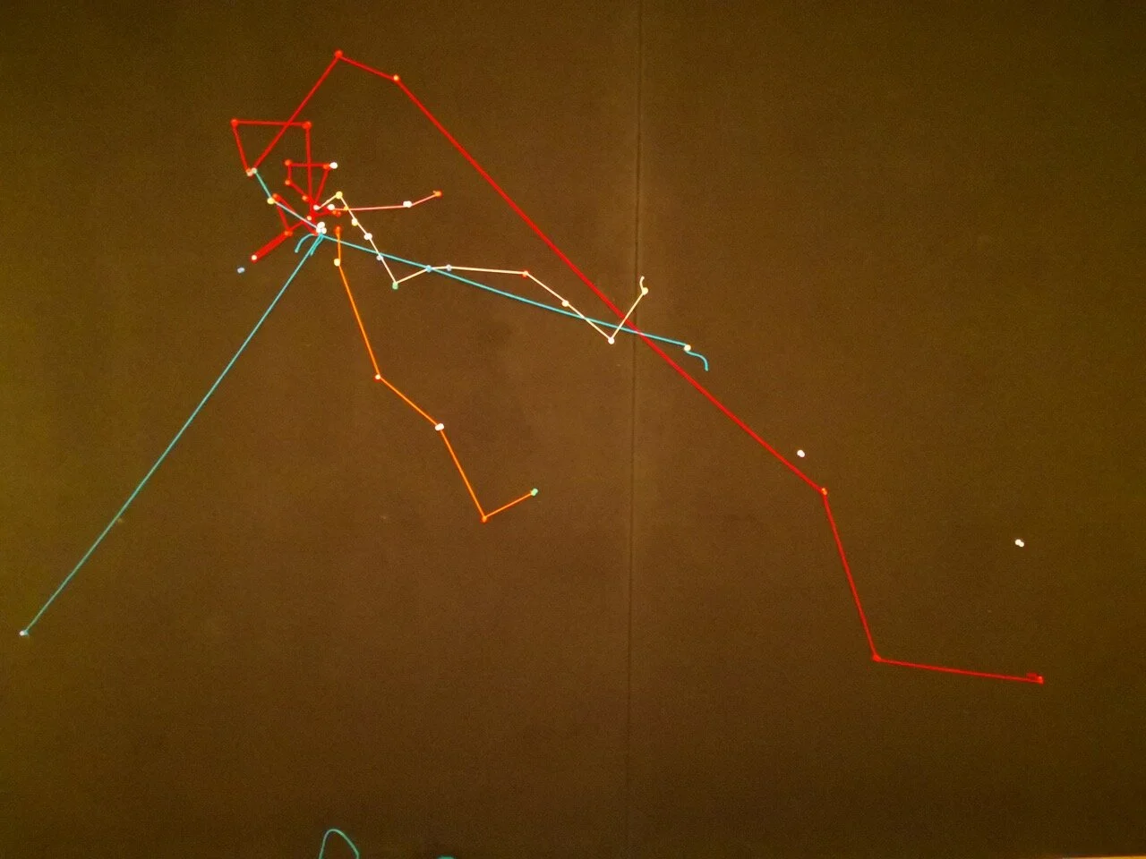 livelines geo 4.jpeg