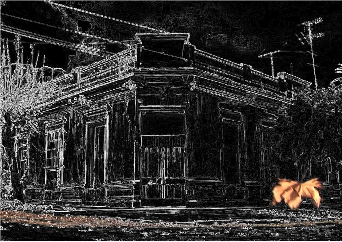 Silence 5 invert.jpg