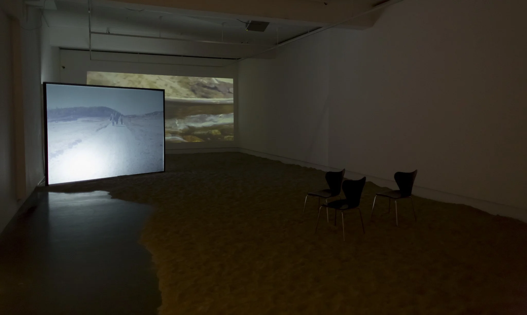 Juksa Inst Krsnd 3.jpeg