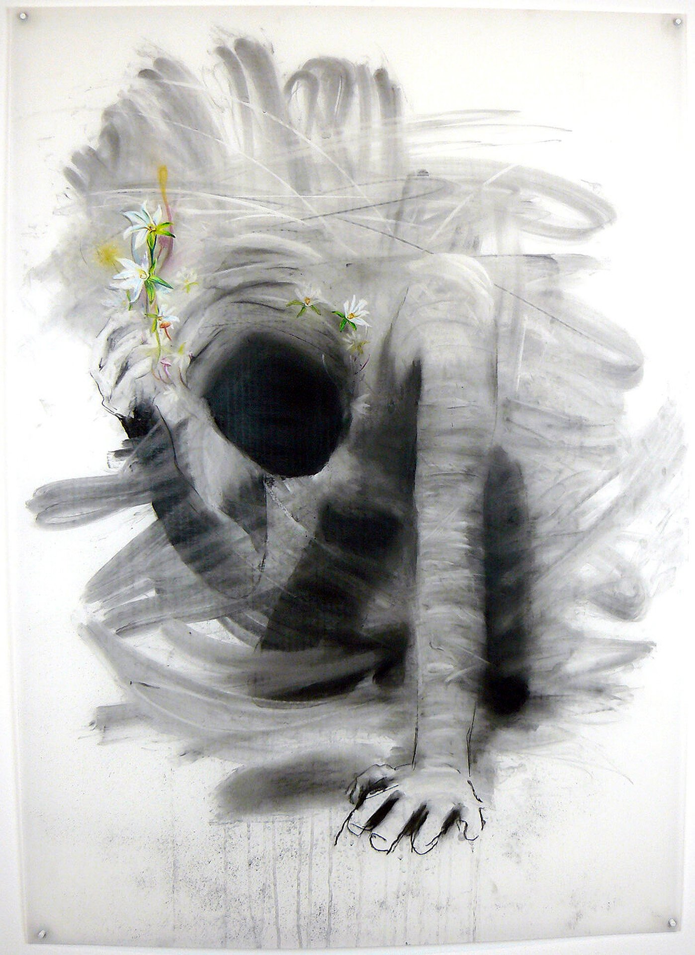Water Howellia , charcoal, pastel pencil, and colored pencil on Mylar, 42 x 30 inches, 2021.