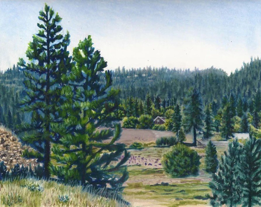 Vinegar Flats Overlook , colored pencil, 8 x 10 inches, 2021.