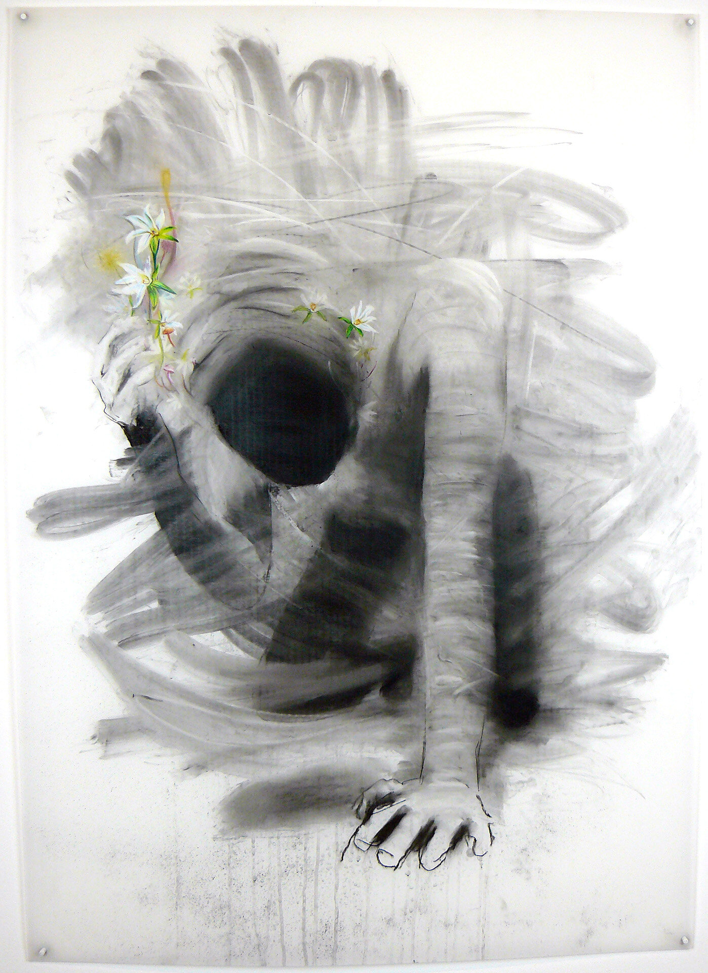 Water Howellia
charcoal, pastel pencil, and colored pencil,
42 x 30 inches,
2021
