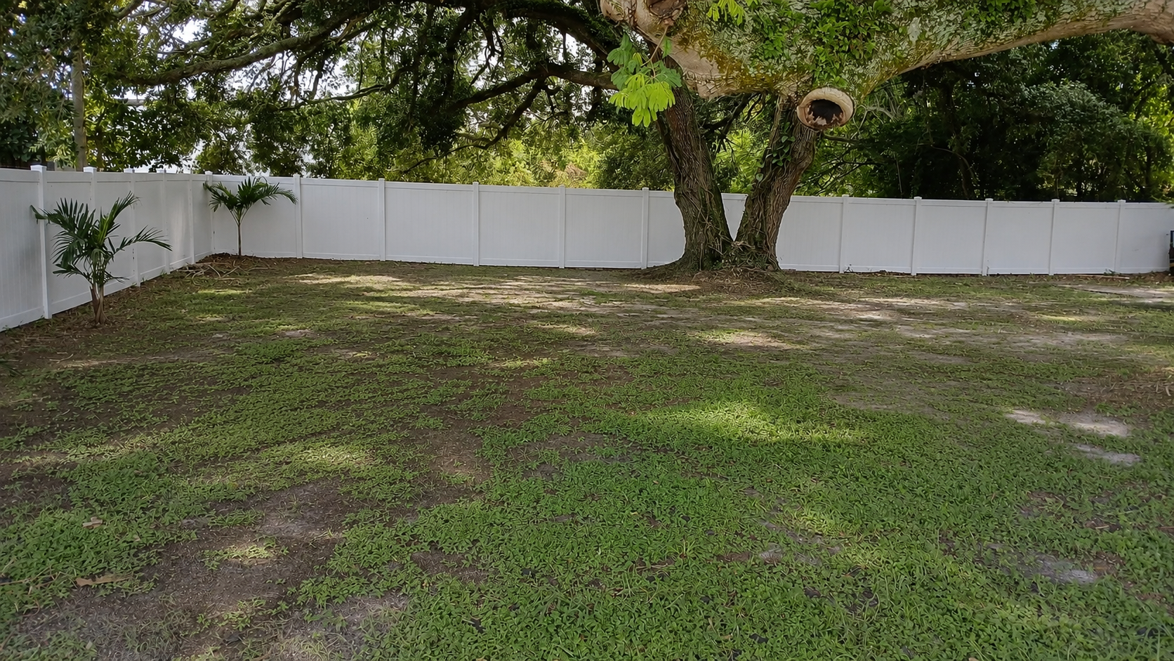 Backyard A Level Up.png