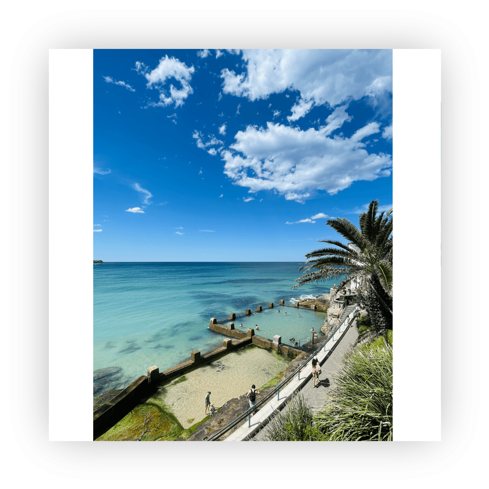 Greens & Blues card