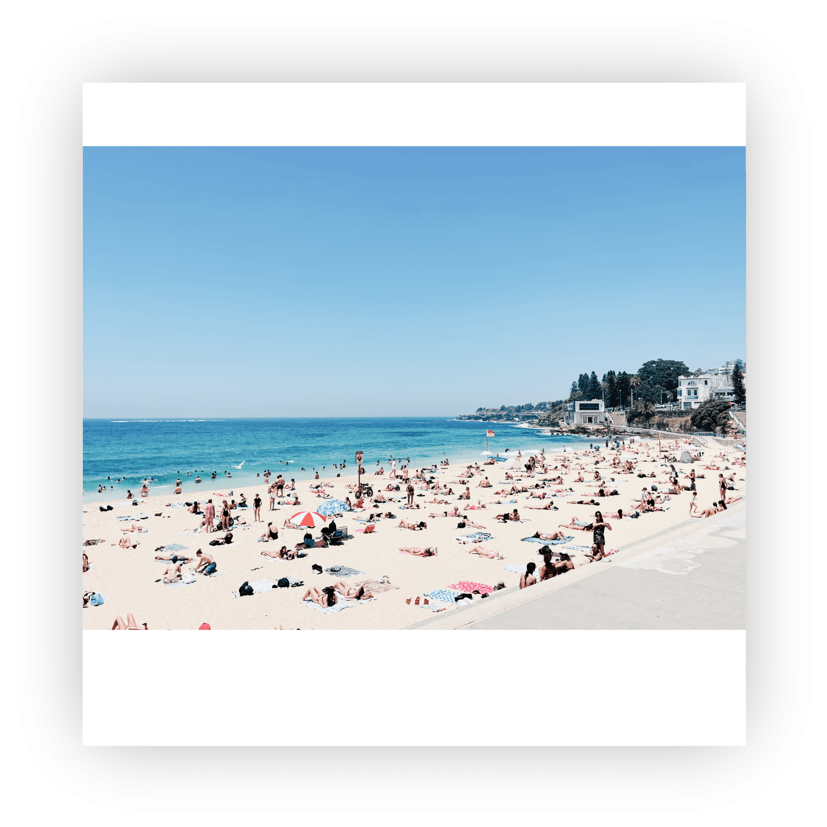 Summer in Coogee card
