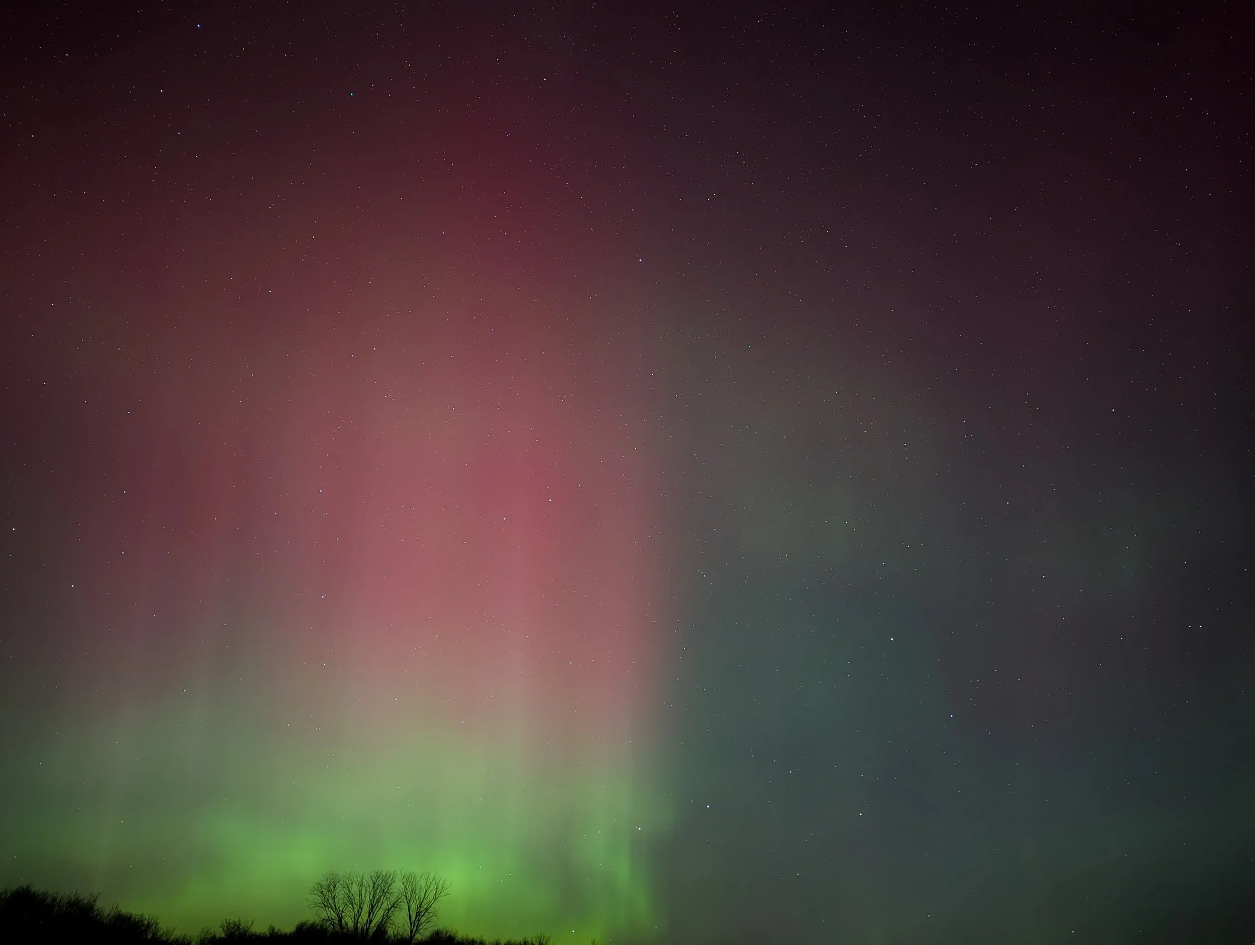 PXL_20251113_041527639.NIGHT - Copy.jpg