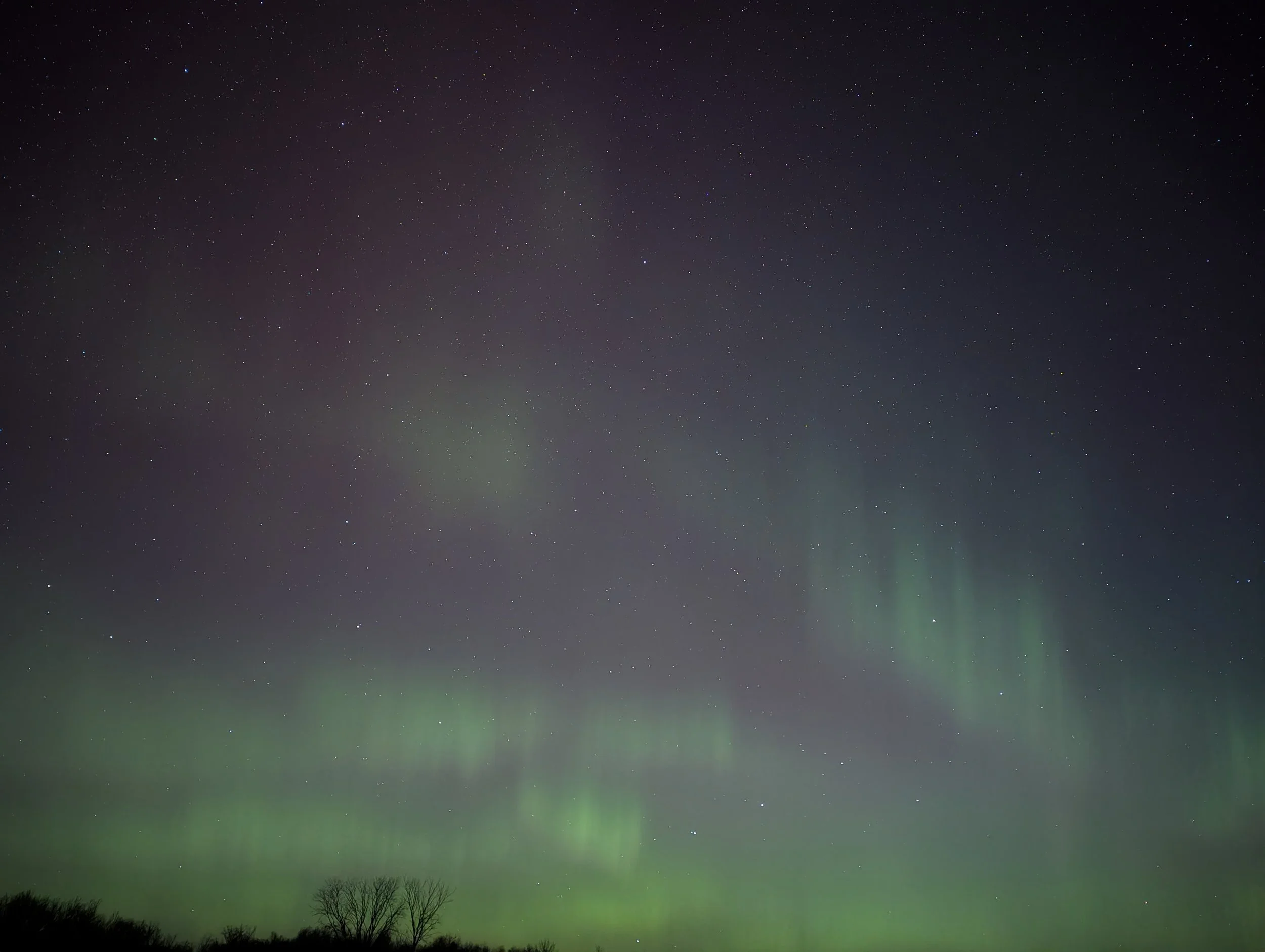 PXL_20251113_043617662.NIGHT - Copy.jpg