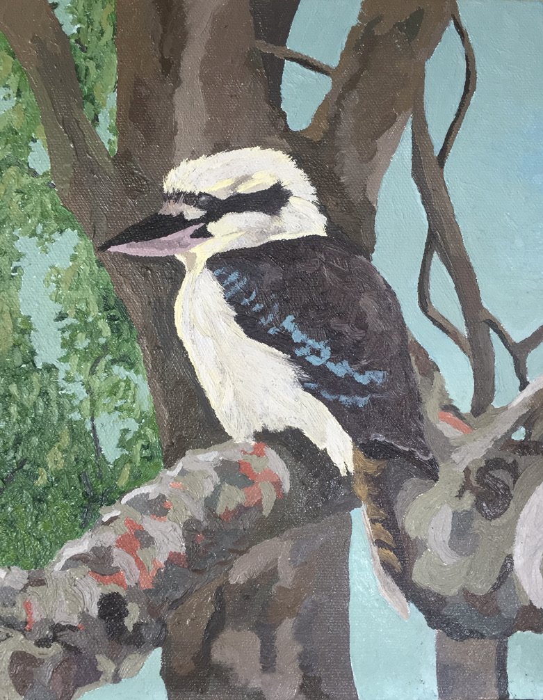 Byron kookaburra
