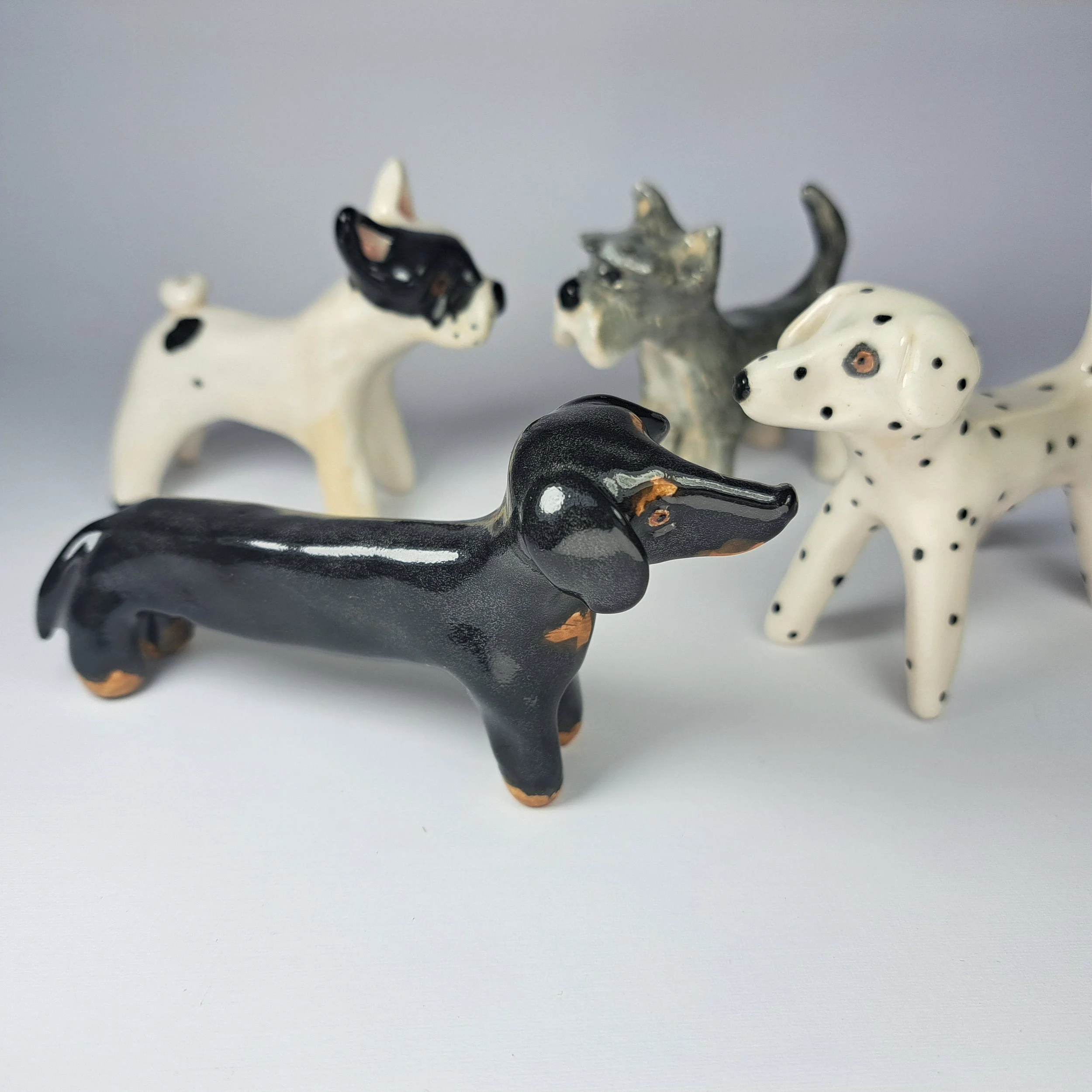 Dogs