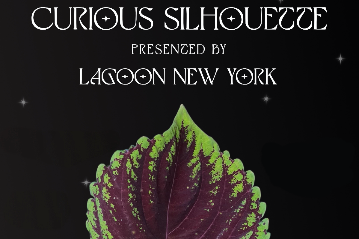 Curious Silhouette: An Immersive Performance of Texture & Motion