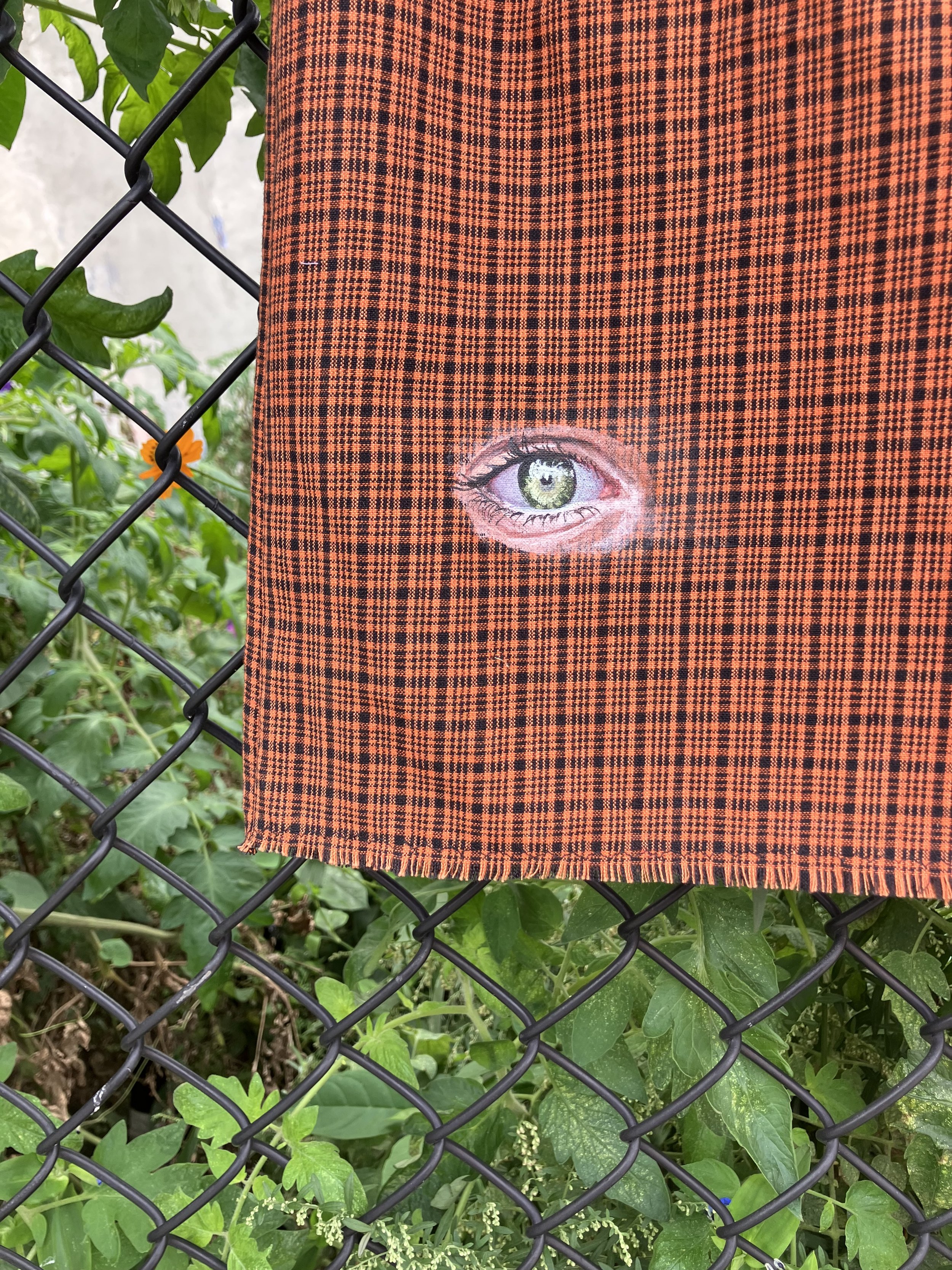 IMG_2135.jpeg