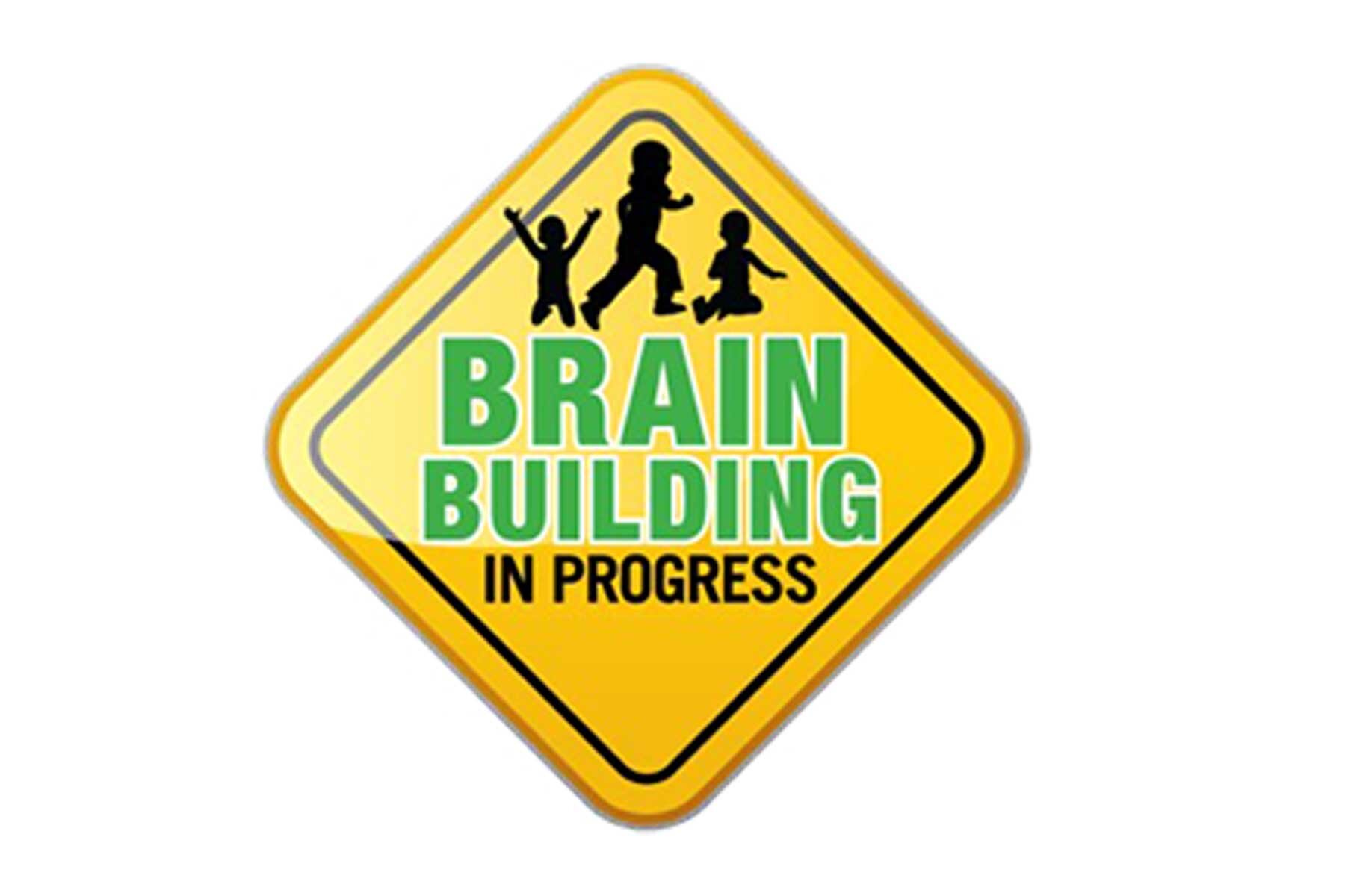 Brain Building in Progress