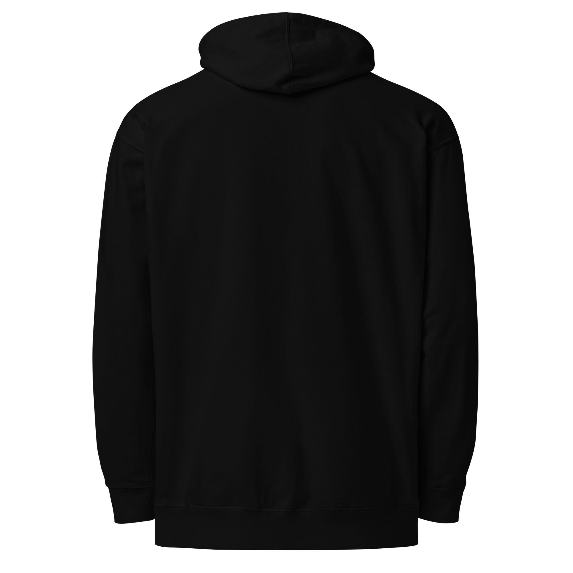 Lucky Boys Confusion So Many Feelings Unisex Pullover Hoodie Mockups-Black-back-2.png