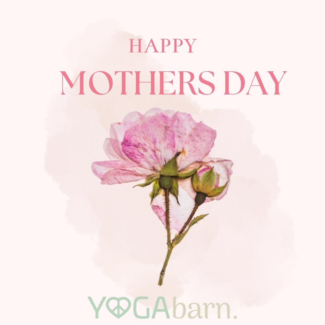 🌷Gratitude 🌷

To the mothers, grandmothers,
stepmoms, aunties, and all the women
who nurture with open hearts &mdash;
today we celebrate you.

For the early mornings and late nights,
the quiet sacrifices no one sees,
the strength you carry,
and the