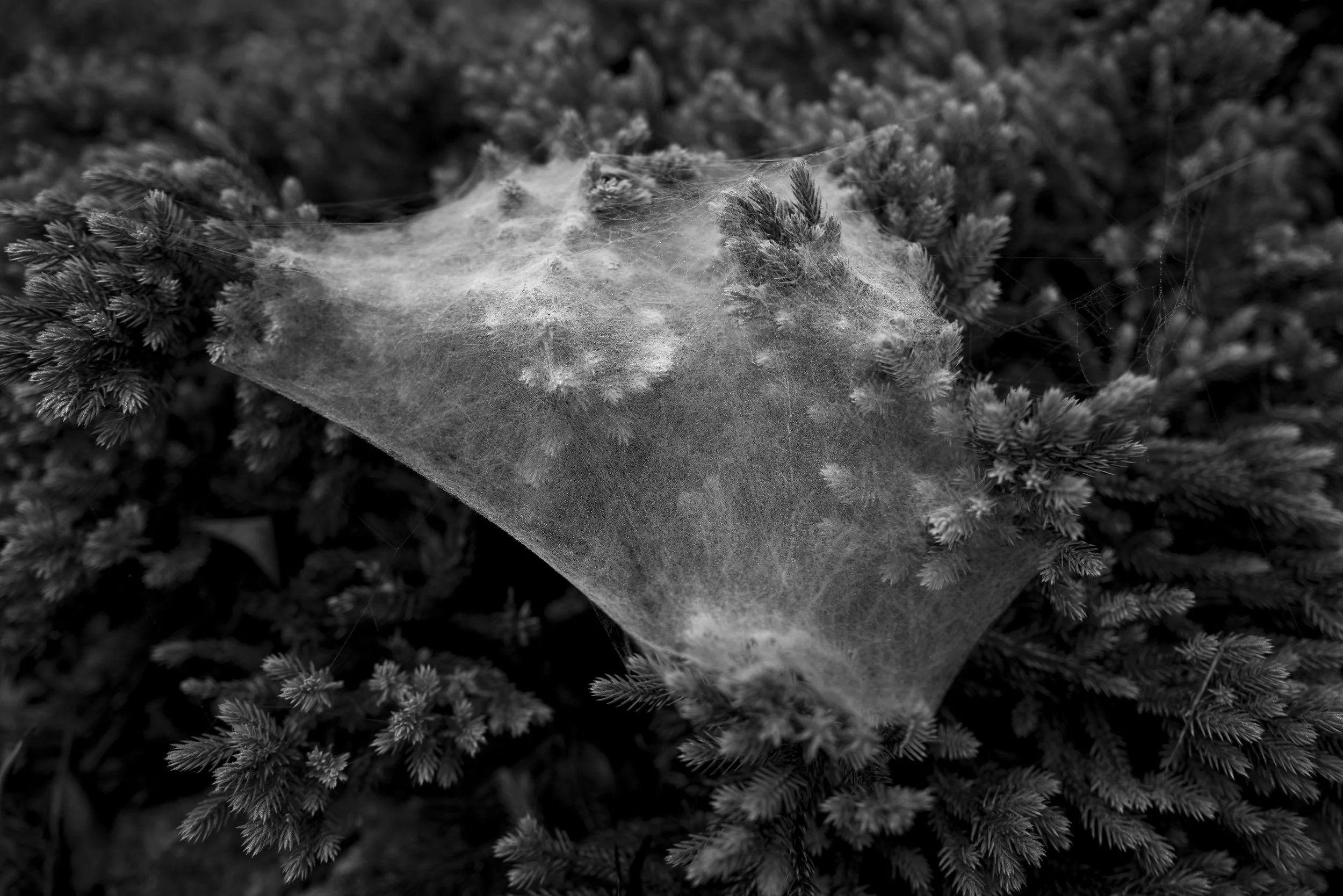 L1071502.jpg