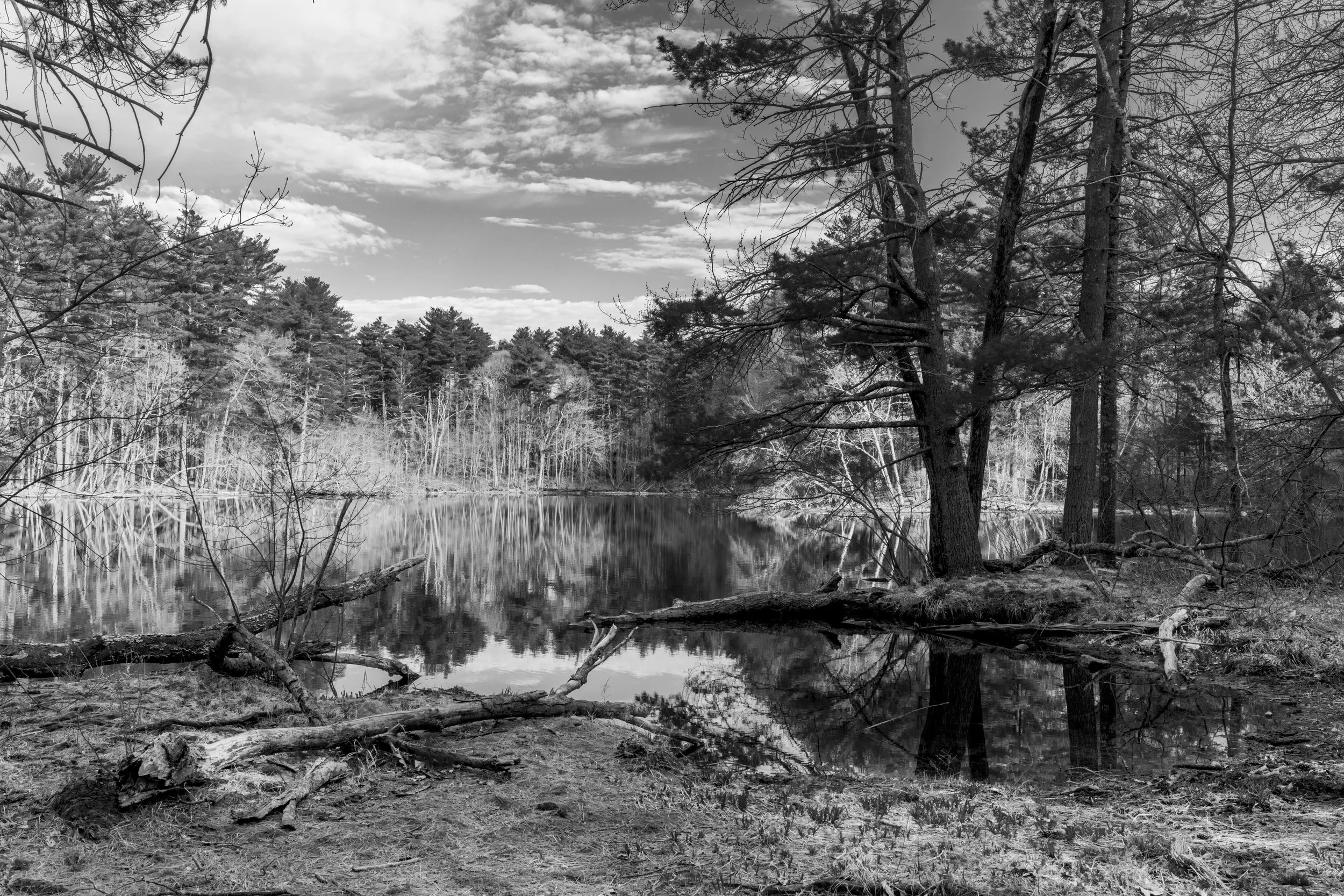 DSC_0110.jpg